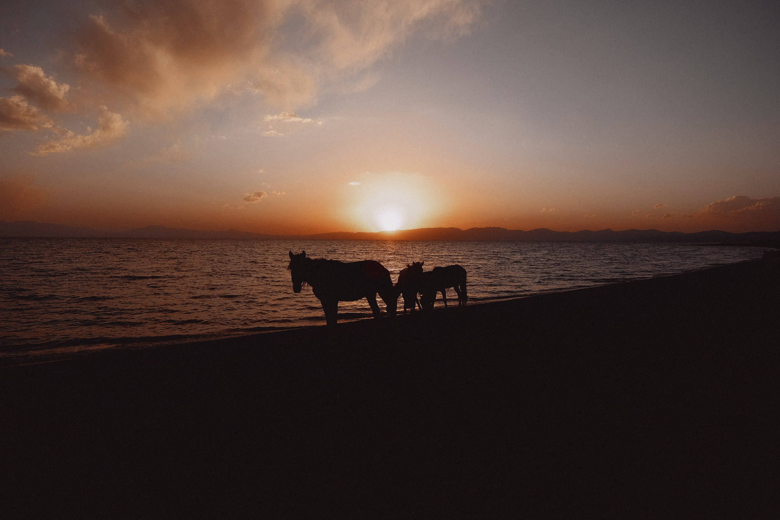 Кыргызстан. Фотограф Дмитрий Олрайт | Калуга, Россия