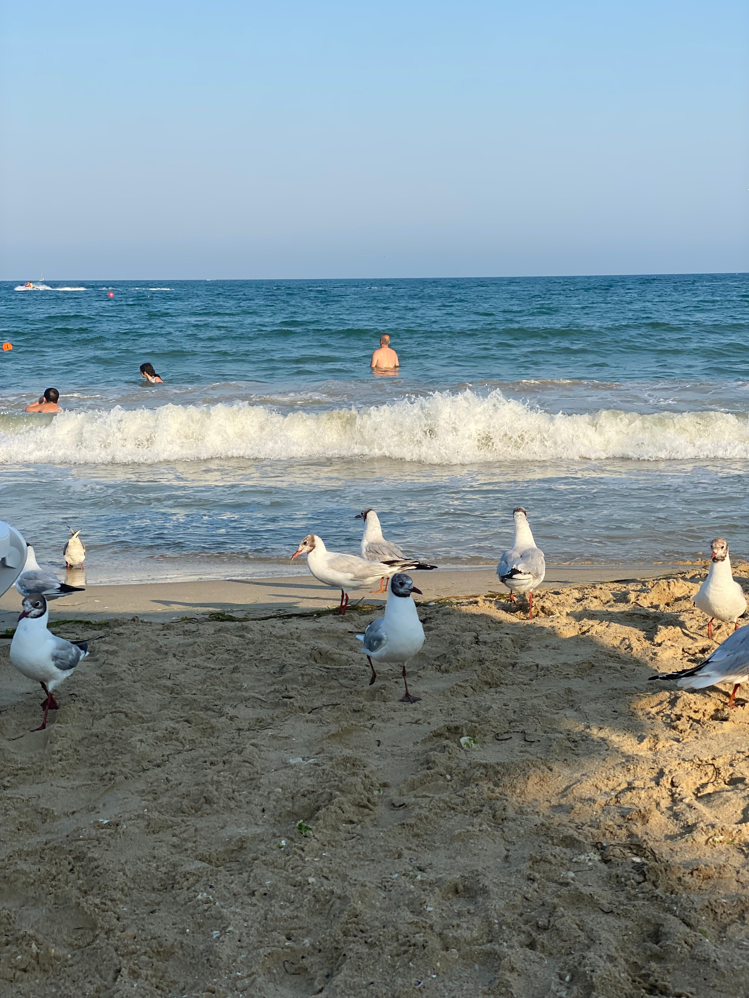 Равда, Несебр — 21. Своя Мастерская