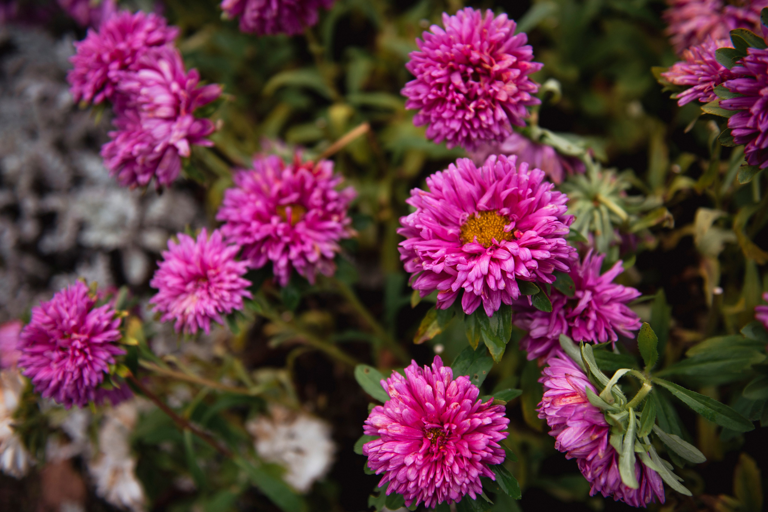 Осень. Портретный и архитектурный фотограф в Москве и Санкт-Петербурге