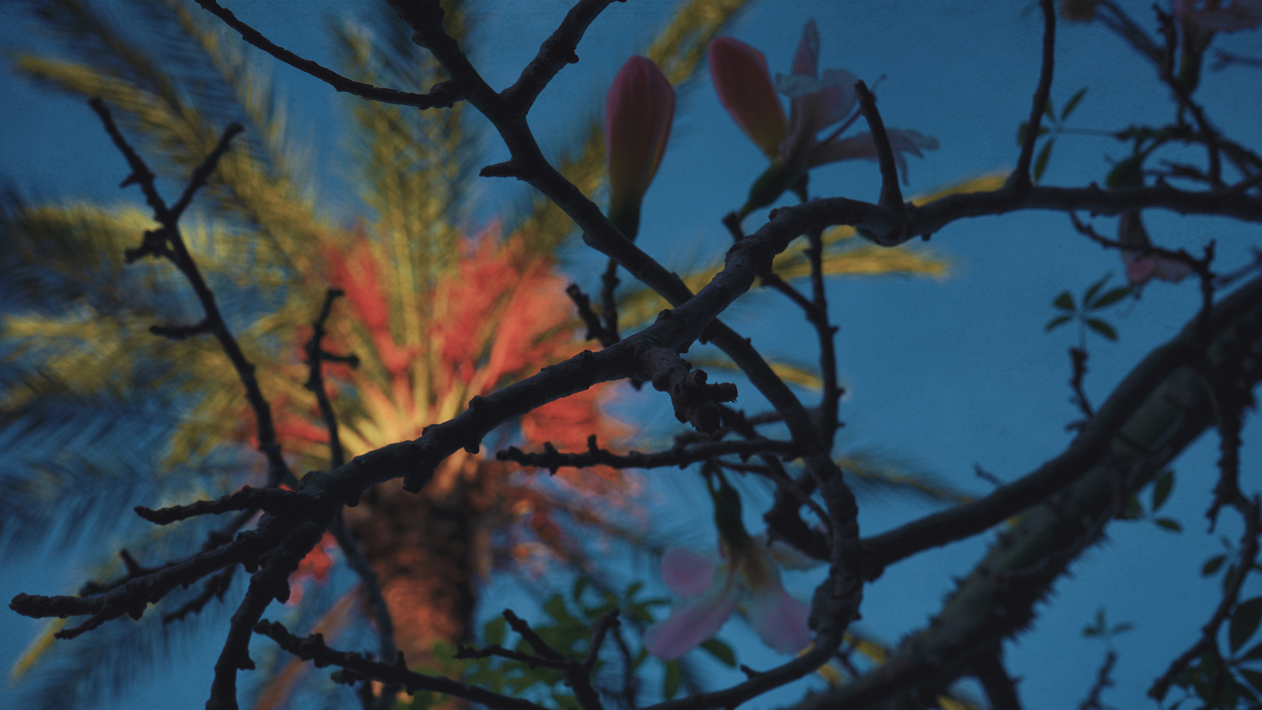 10.11.2020_Turkey_Alanya. Home