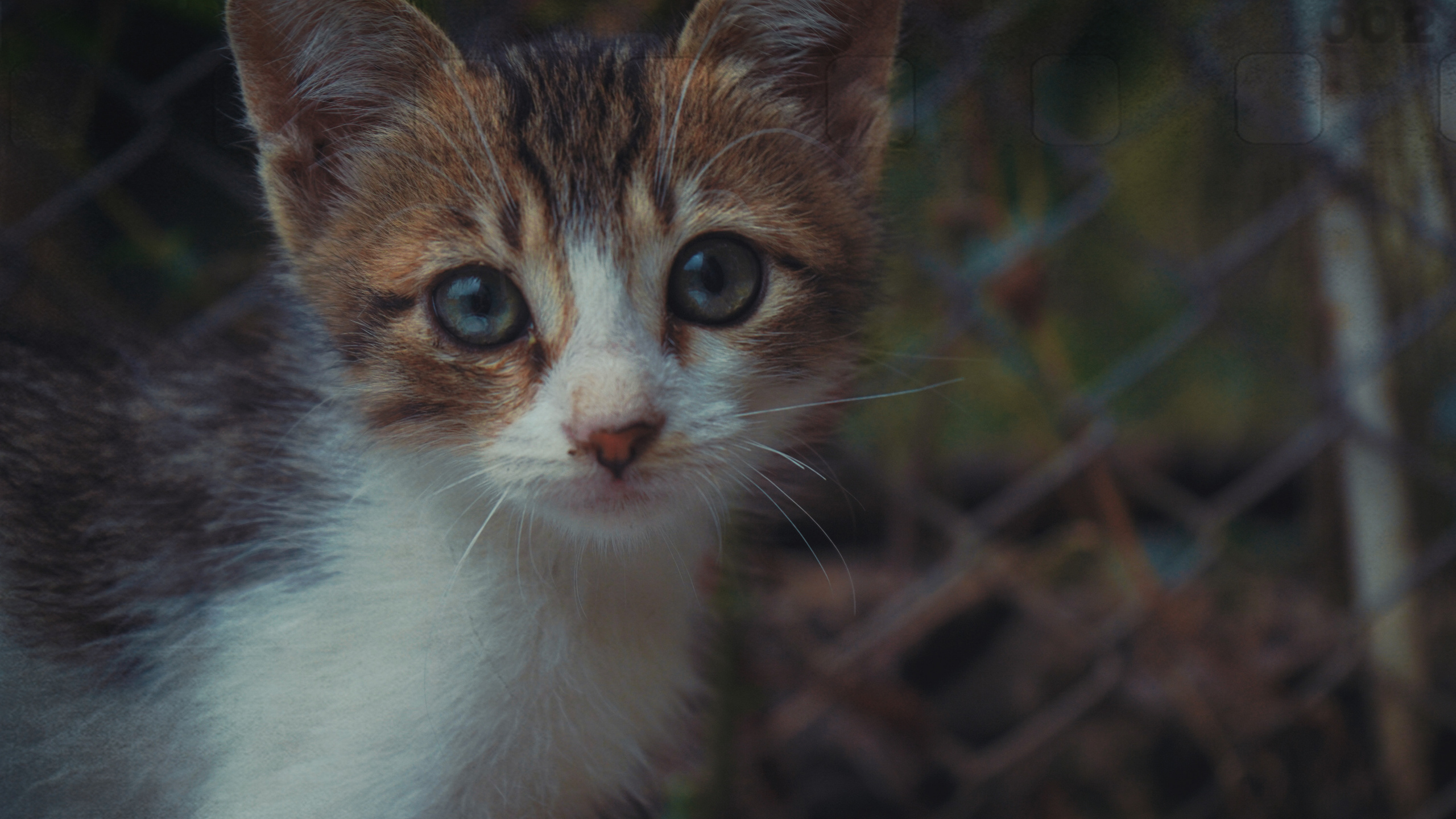 10.11.2020_Turkey_Alanya. Home
