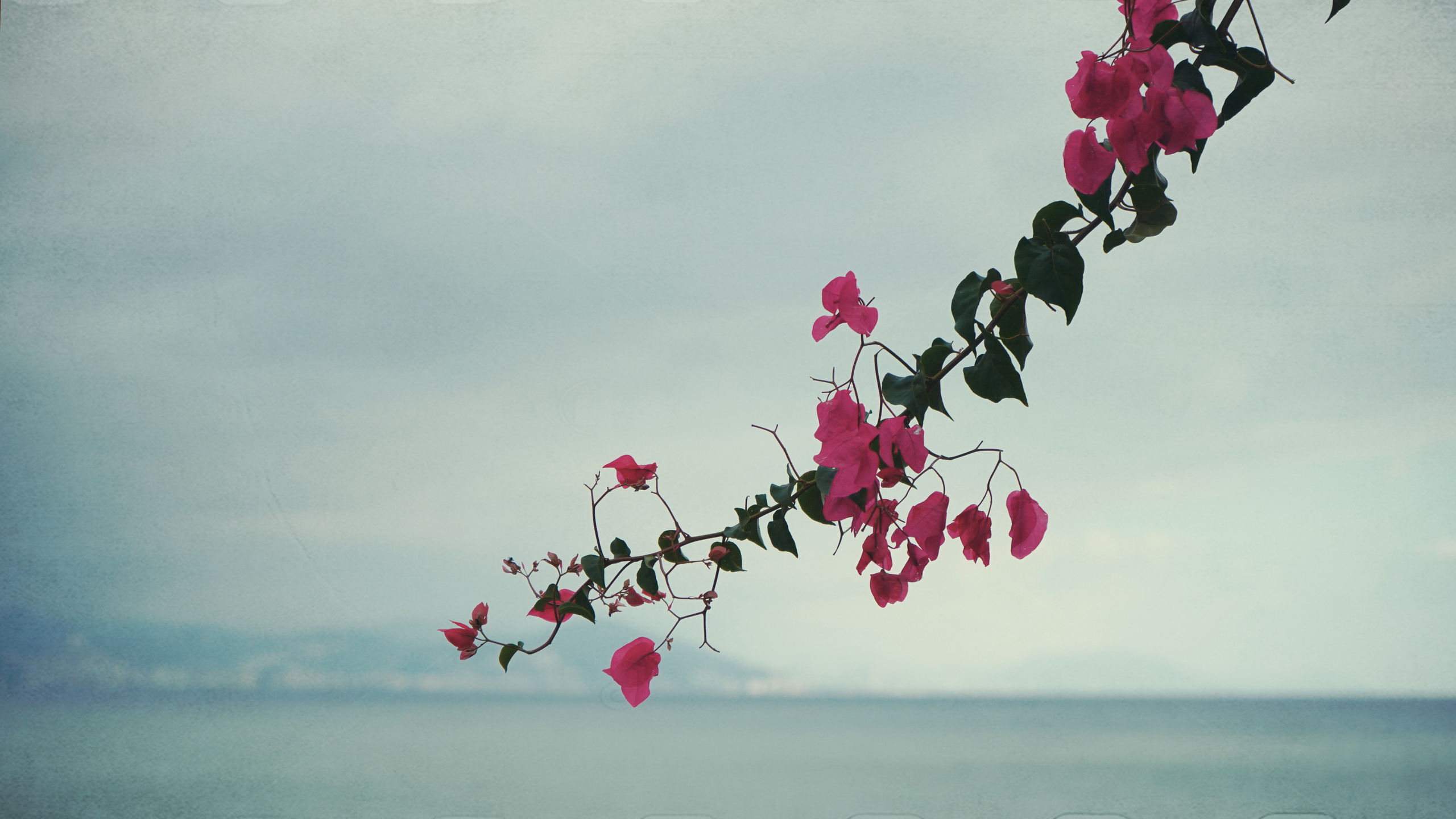 10.11.2020_Turkey_Alanya. Home