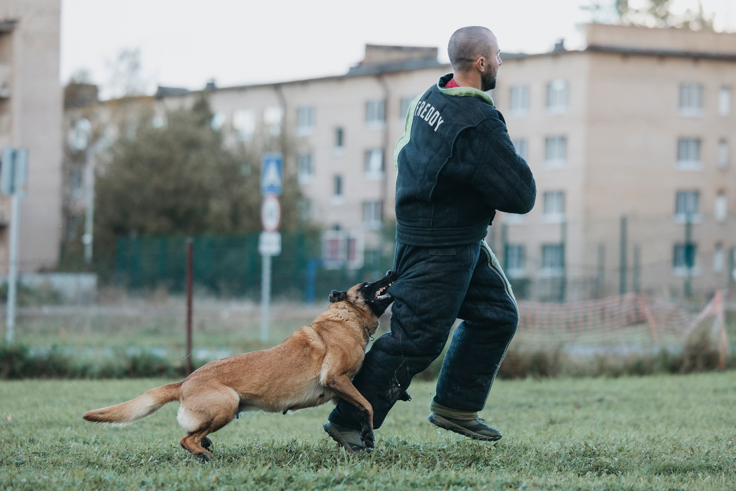 Испытания по мондьорингу г. Пушкин 29.09.2024. Фотограф-анималист Анна Маринич