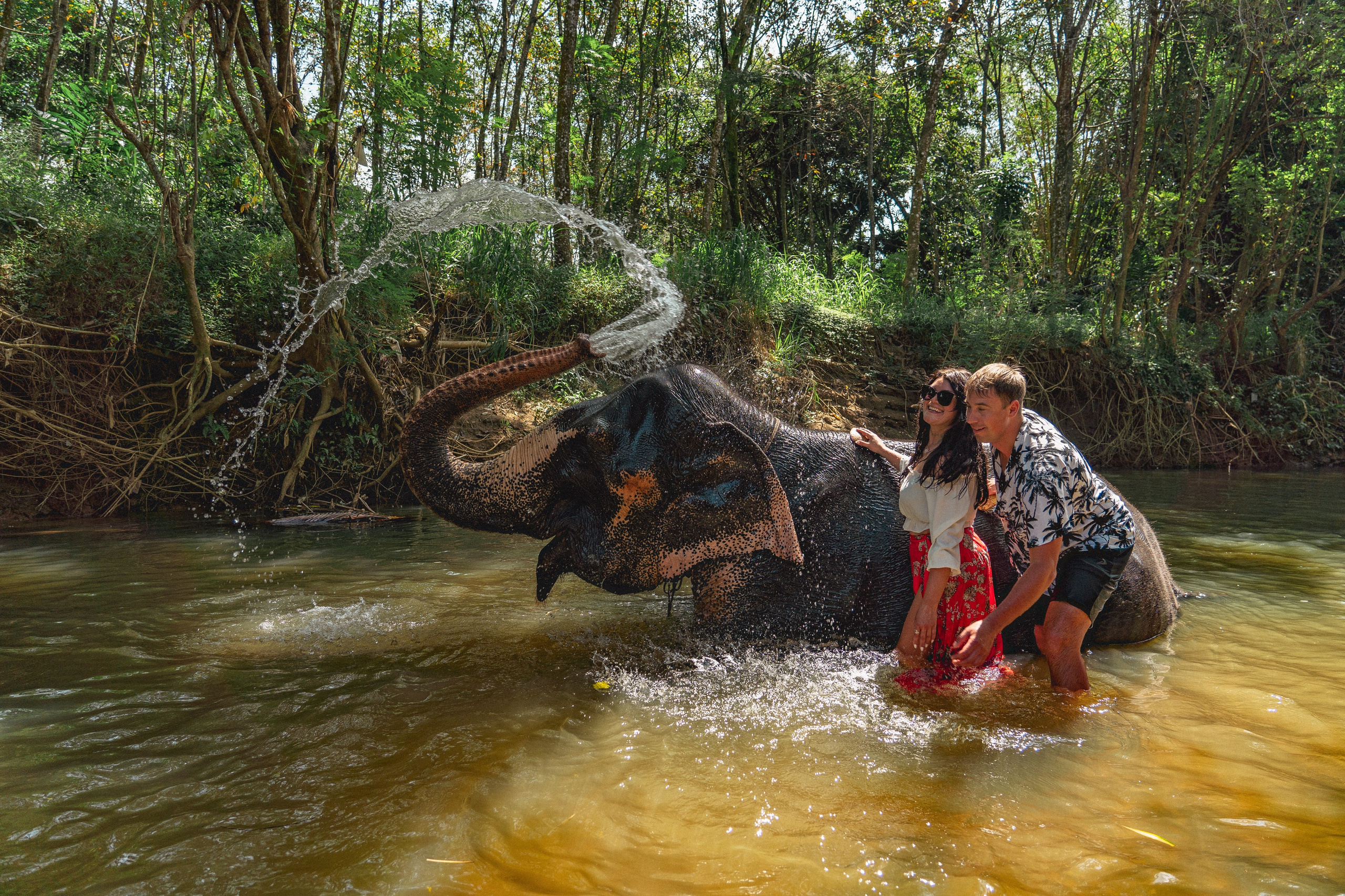 Bathing with elephants in Pinnawala, Botanical Garden