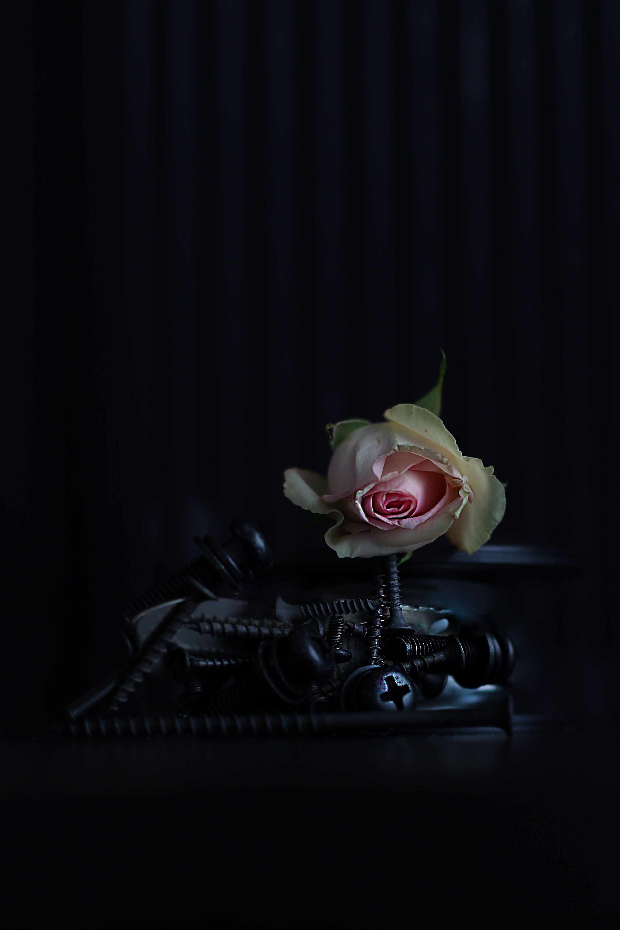 Натюрморт. Фотография как кино