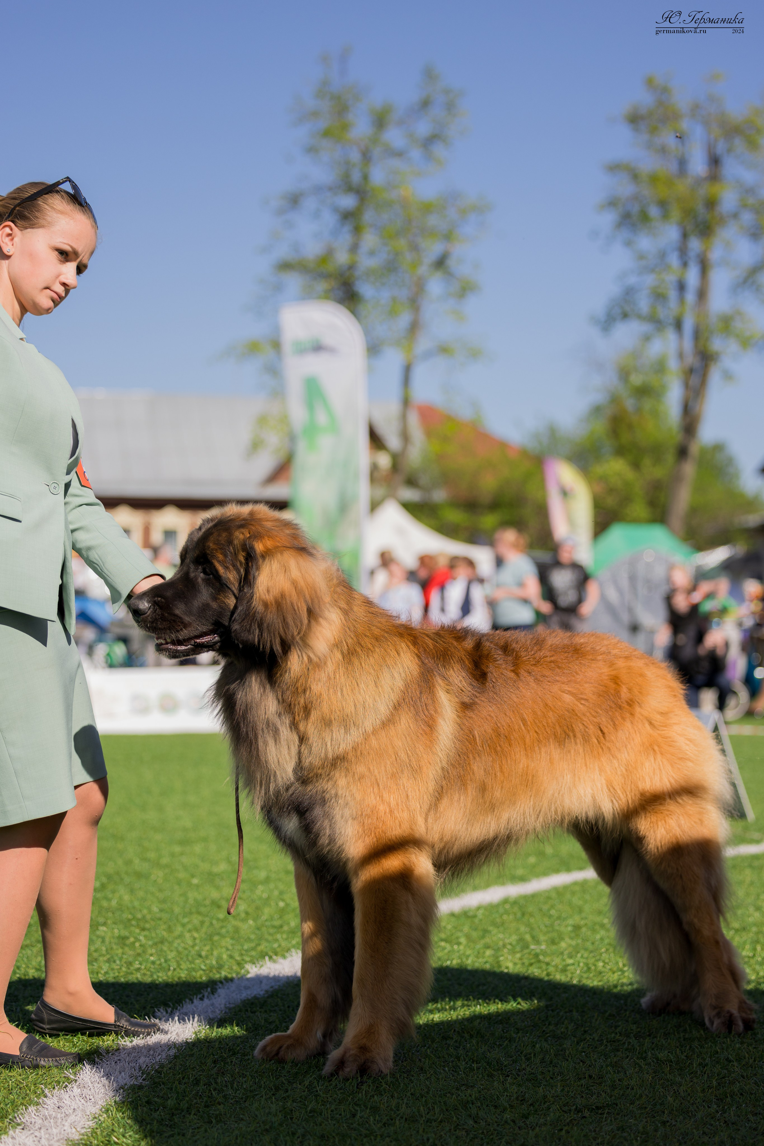 Суздаль 18-19.05.2024. Фотограф-анималист Юлия Германика