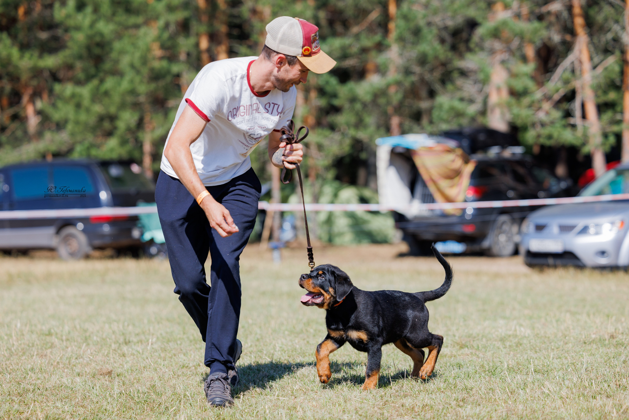 ПК и КЧК ротвейлеры Тверь 6-7.07.2024. Фотограф-анималист Юлия Германика