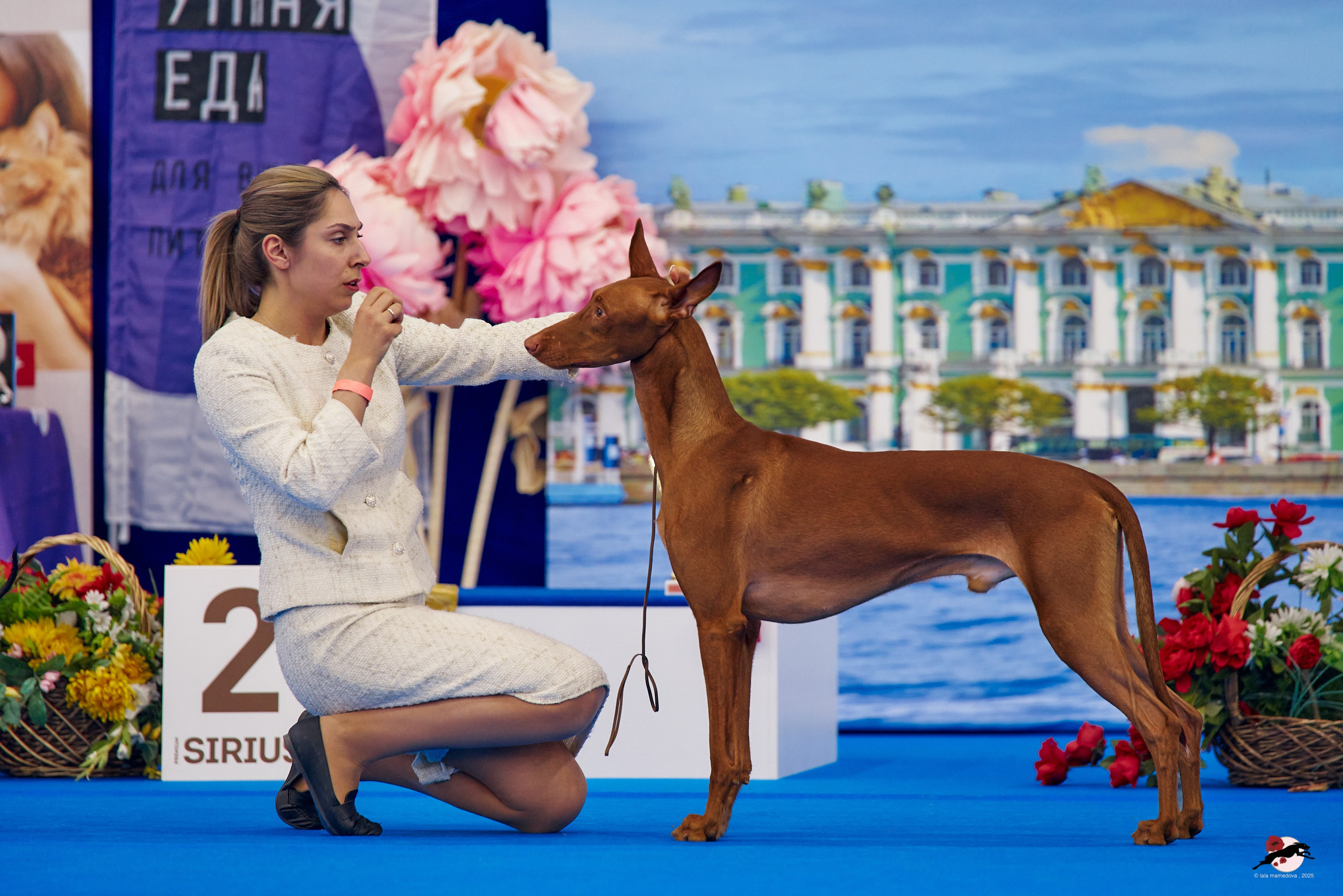 27.04.2025 | "Петербург-Элита 2025" & «КУБОК «ЭЛИТЫ»-2025»