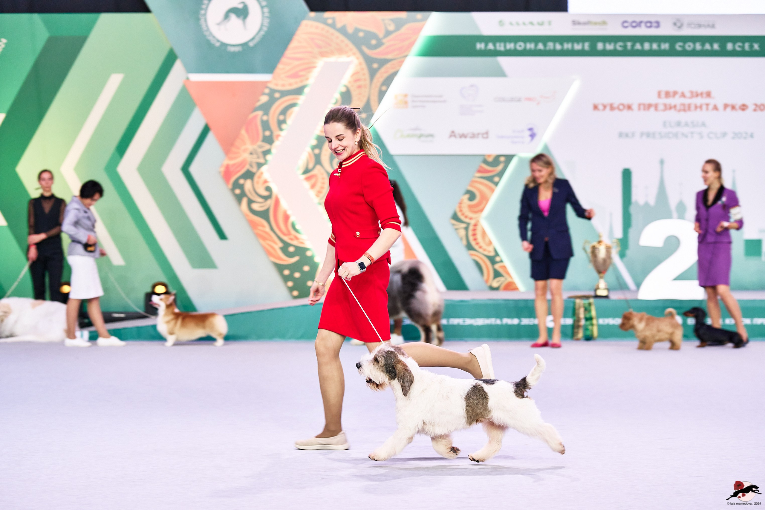 16.11.2024 «ЕВРАЗИЯ. КУБОК ПРЕЗИДЕНТА РКФ 2024»