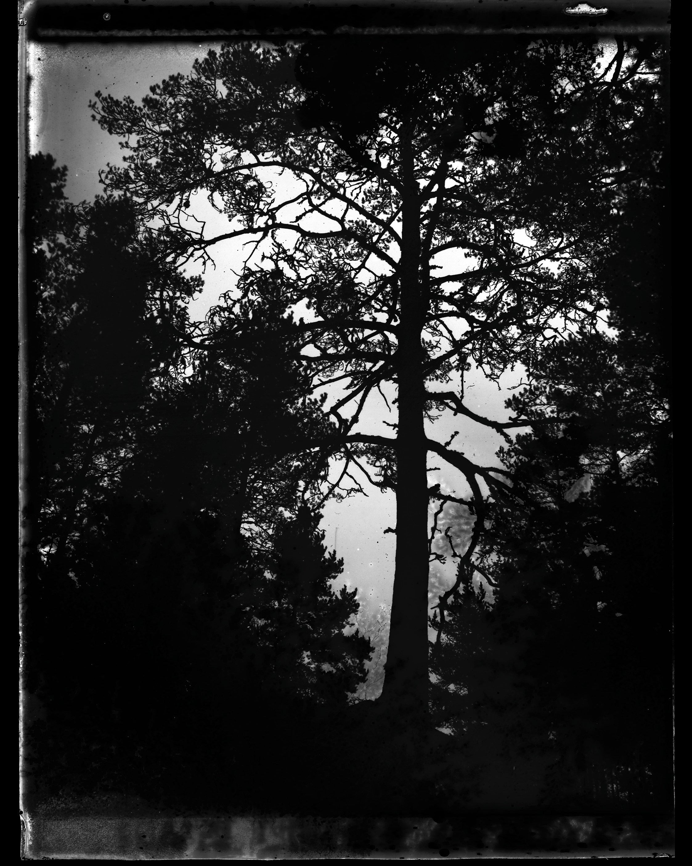 Glass plates. Darkroom aesthetics