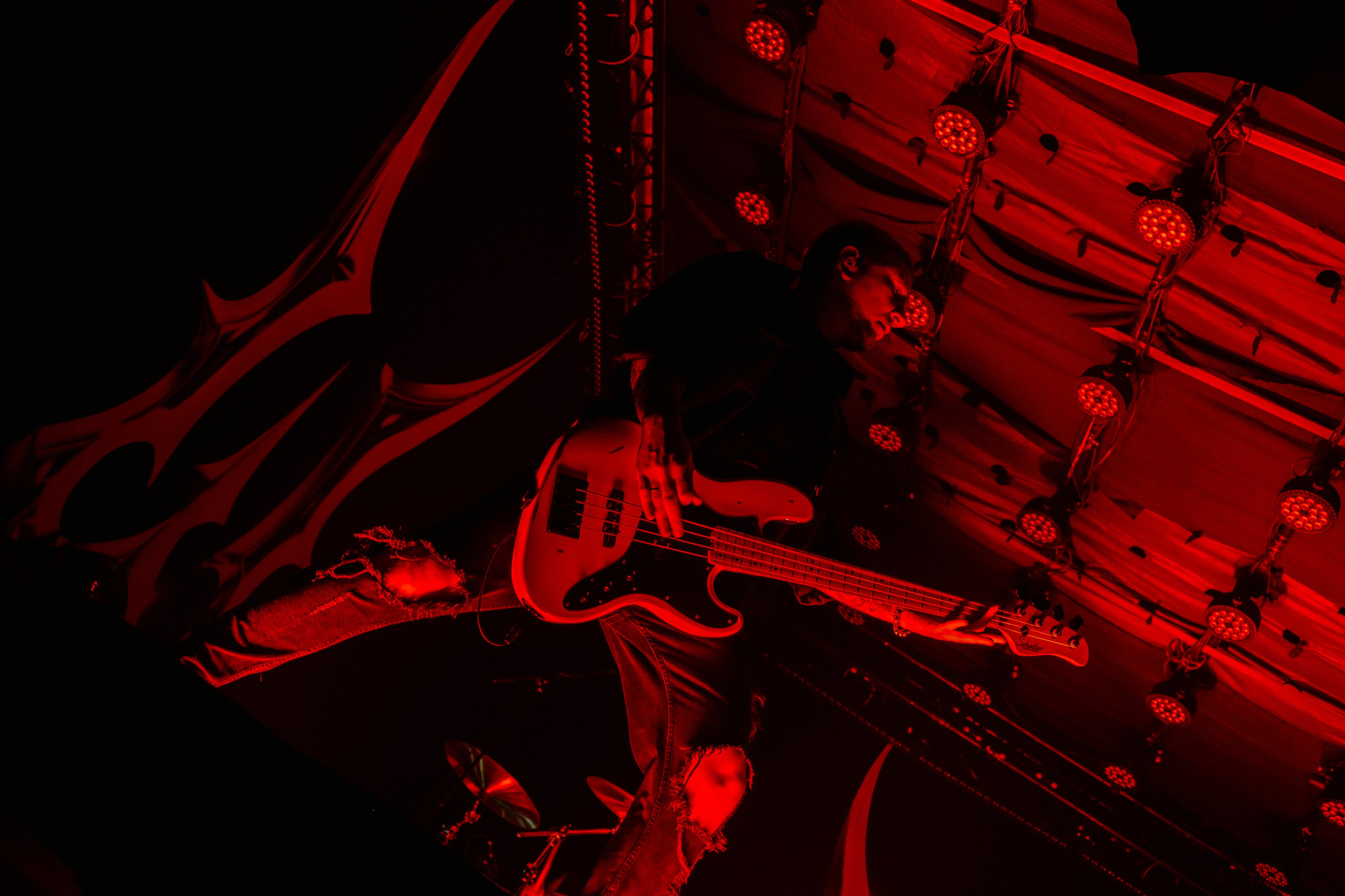 Wildways, Sound, 16.11.24. Репортажный фотограф, Санкт-Петербург