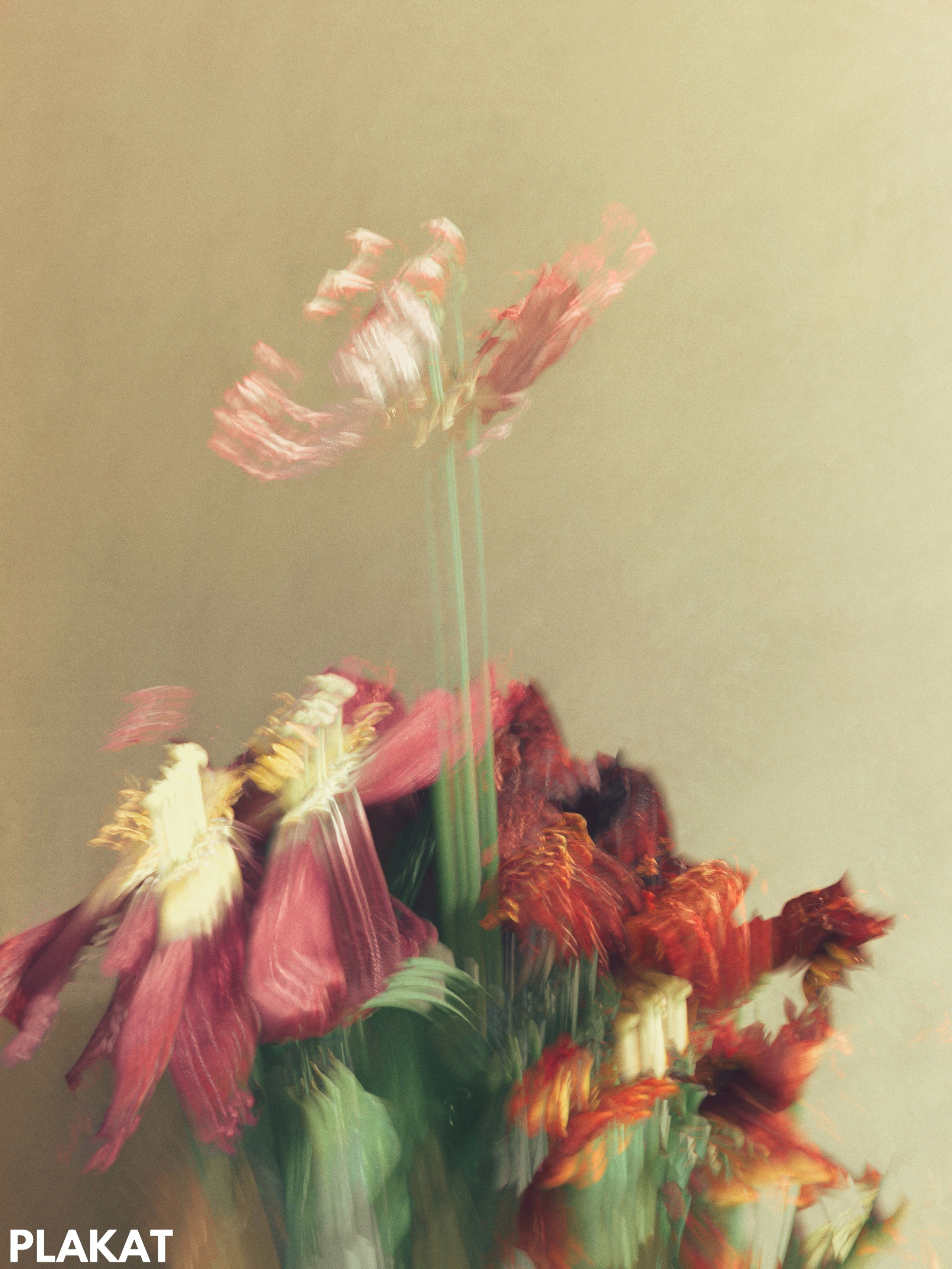 @natallii_zhukovskaya