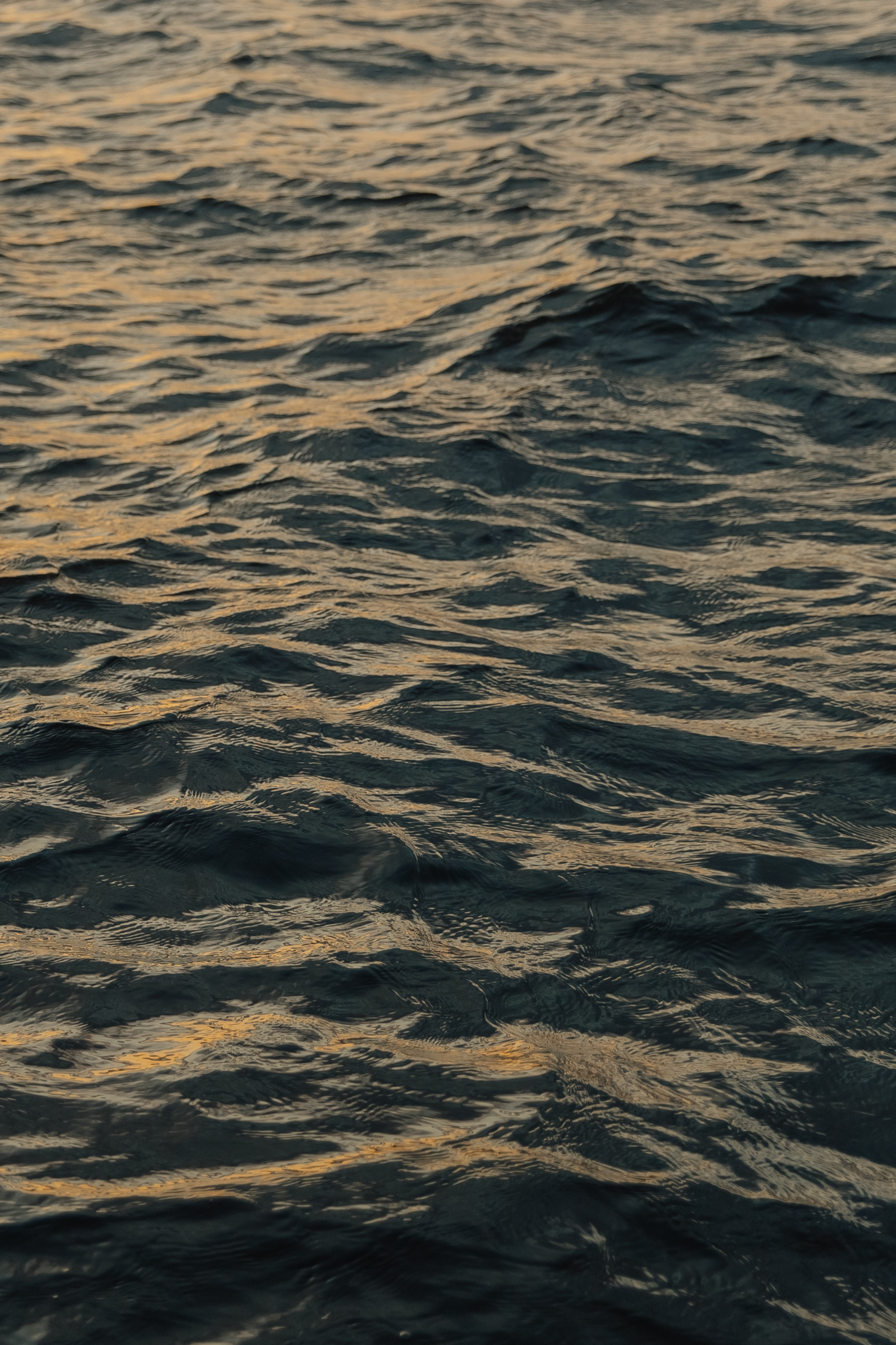 Алена | Егор