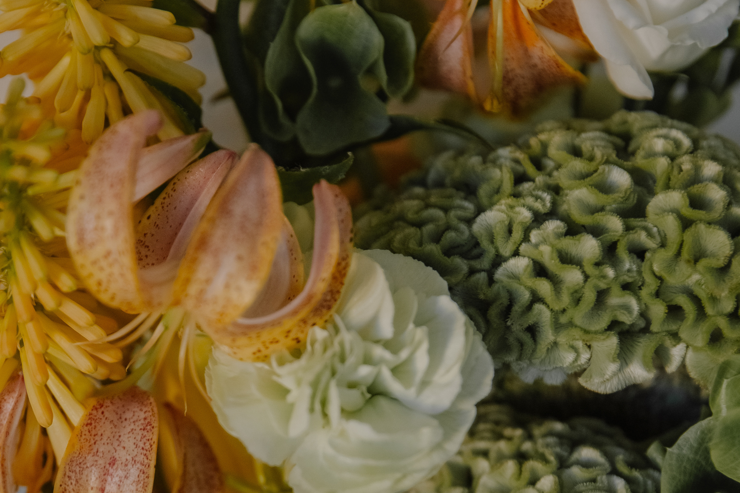 Алена | Егор