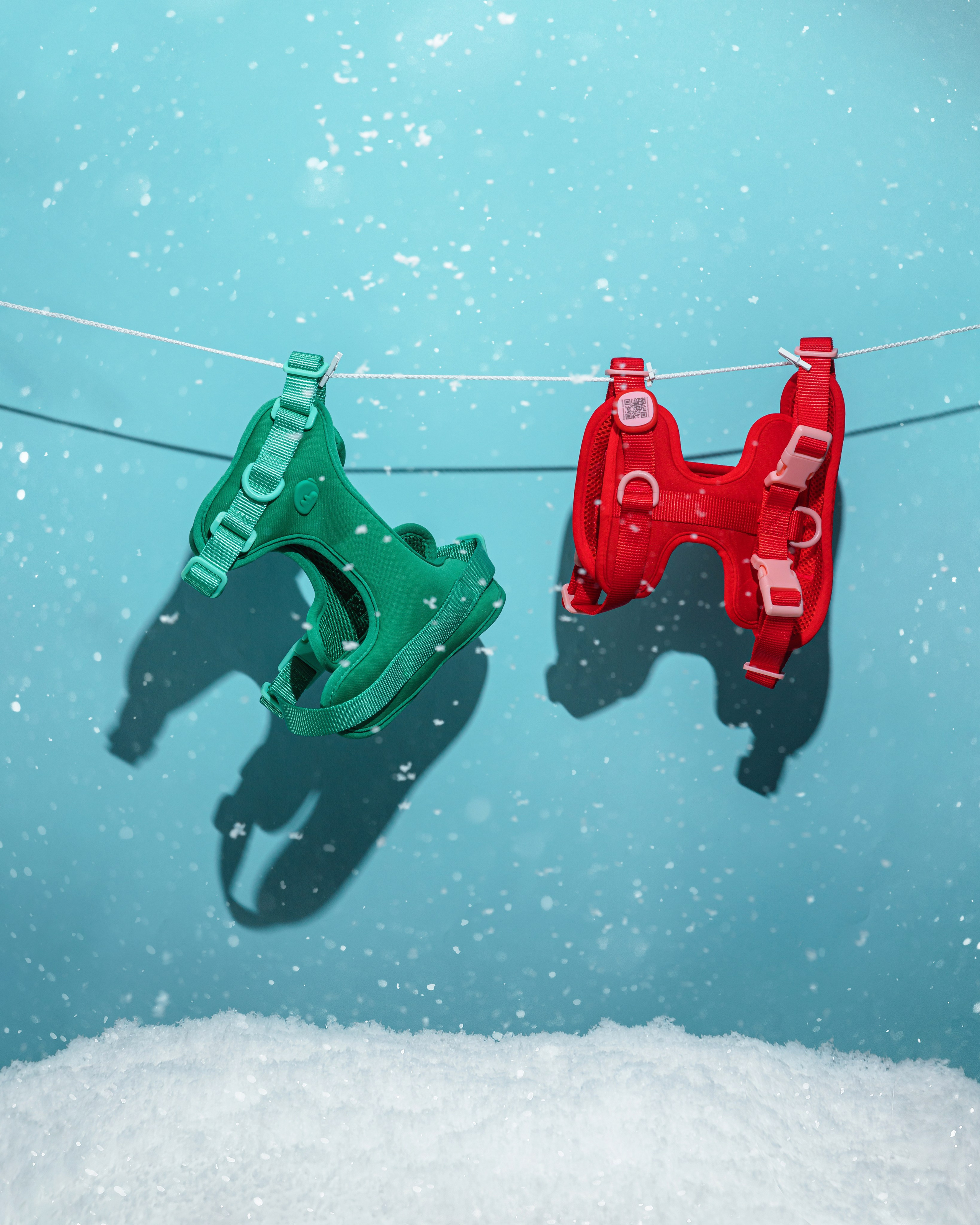 In good company для собак. Фотограф в Москве Татьяна Драгунова