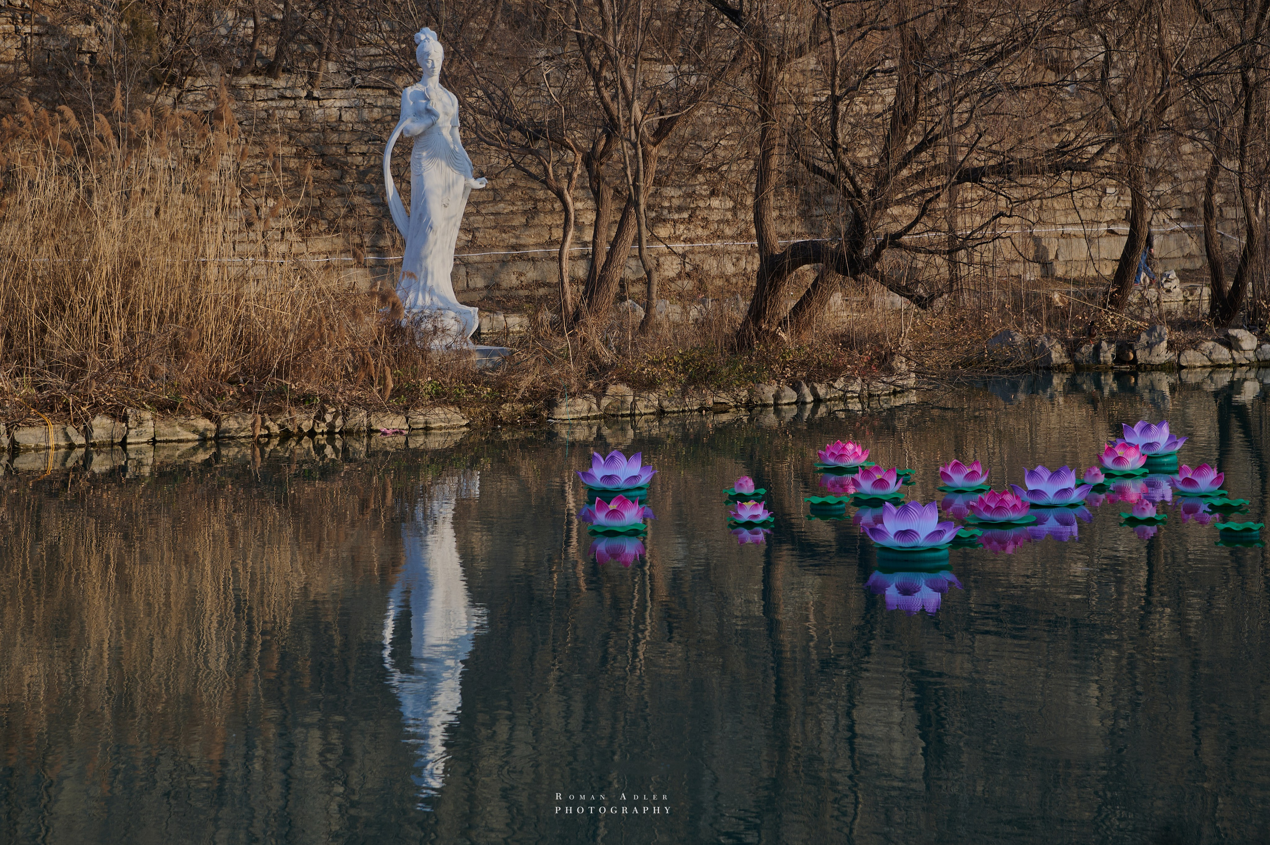 Городской парк Цинчжоу. Фотограф Роман Адлер