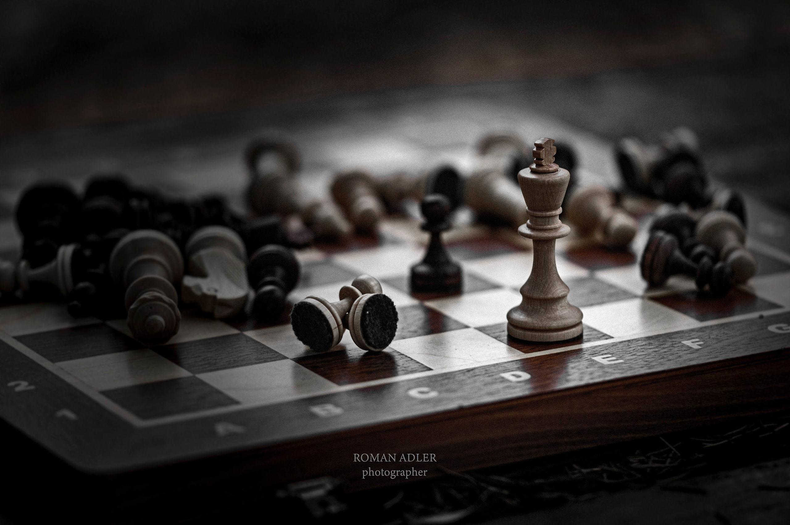 Серия «Последняя партия». Фотограф Роман Адлер