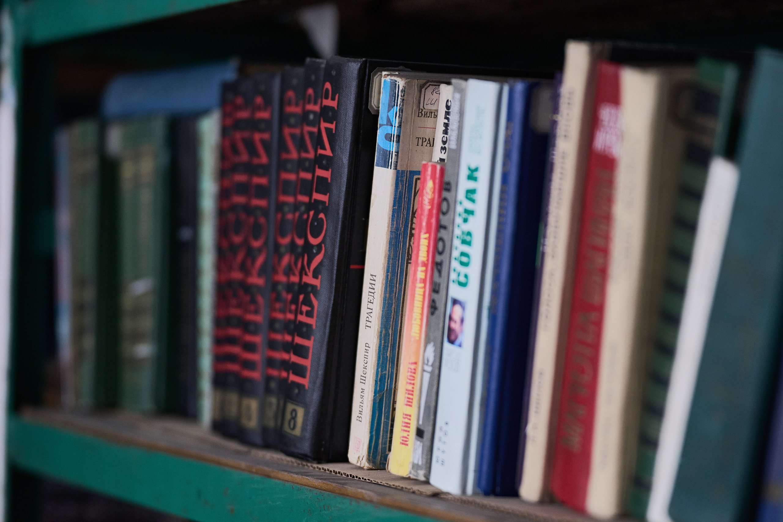 Краснореченское (Луганская область). Ноябрь 2024. Фотограф Роман Адлер