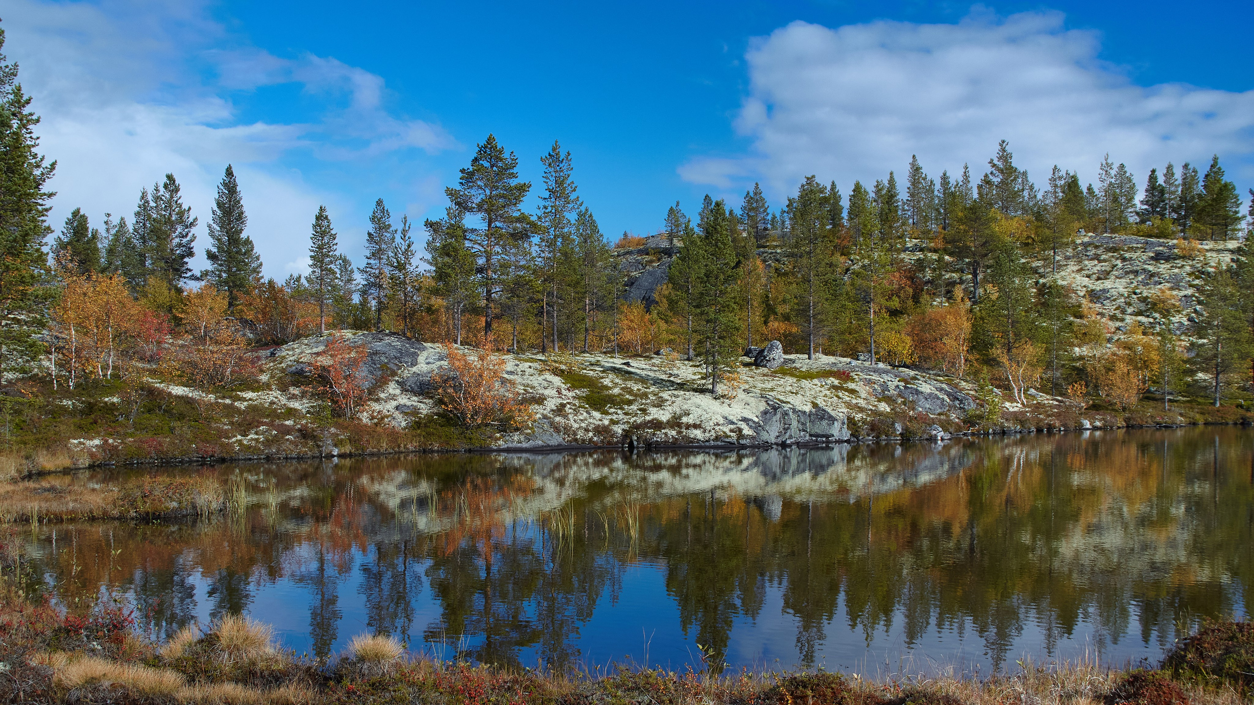 Тундра Лес и Сопки. Пейзажи Крайнего Севера. Баренцево море, Рыбачий, Средний, Немецкий
