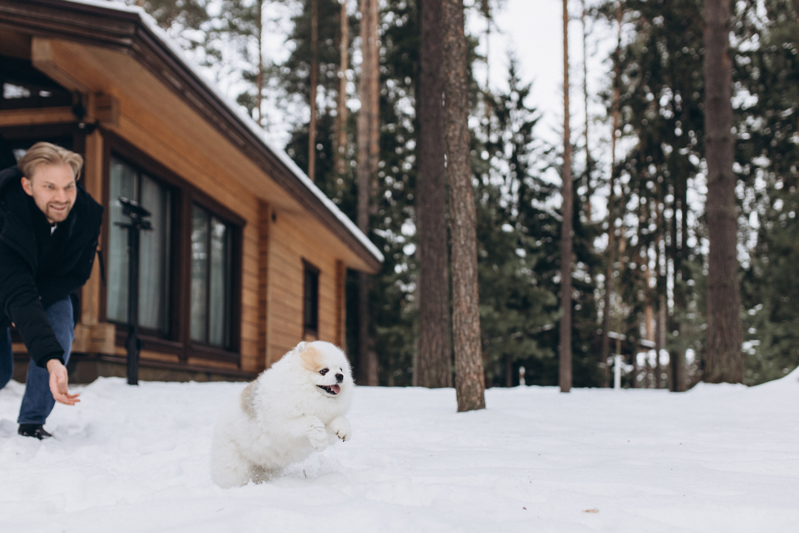 Коттедж и лес. Фотосервис курорта «Охта Парк­­­»