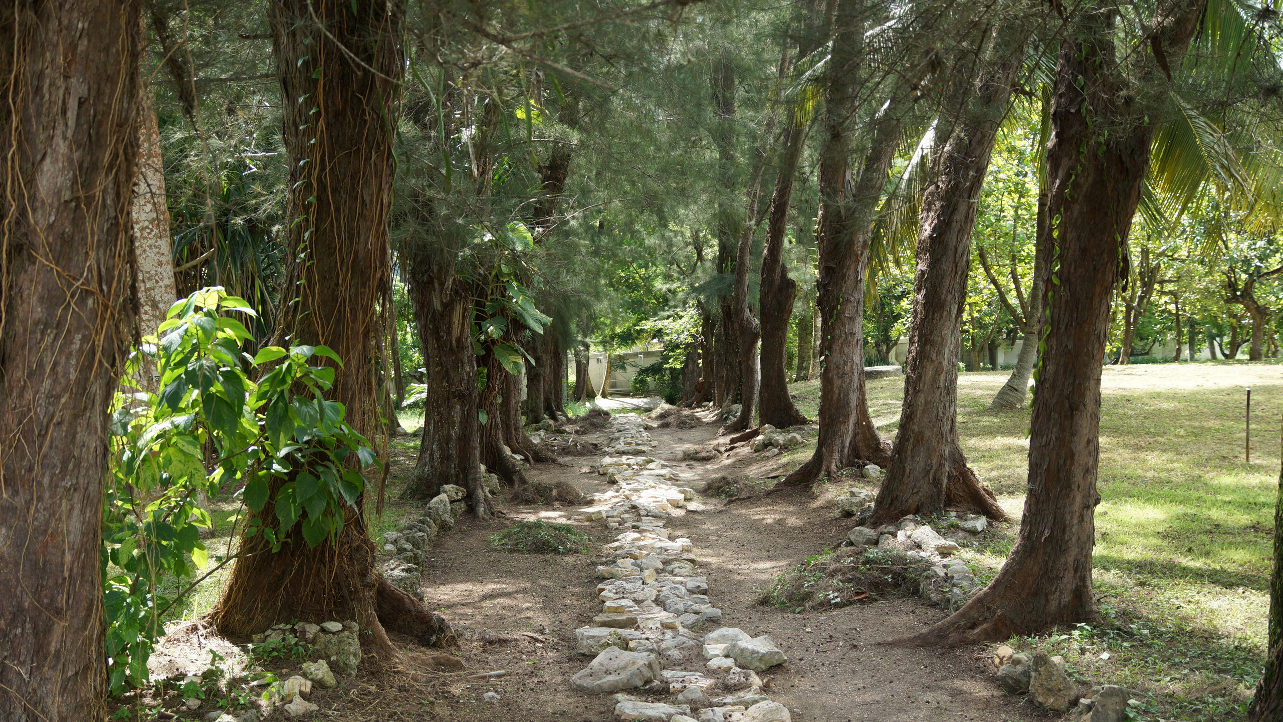 Куба. Фотограф-путешественник Самойлов Максим «Sly Fox»