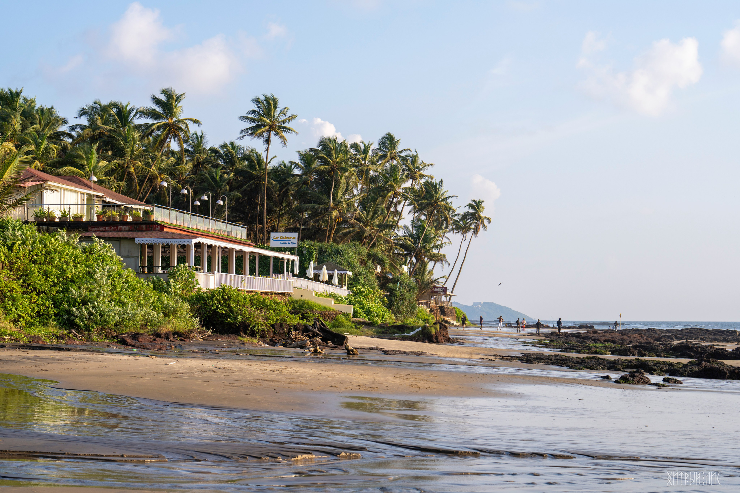 Гоа-Мумбаи. Фотограф-путешественник Самойлов Максим «Sly Fox»