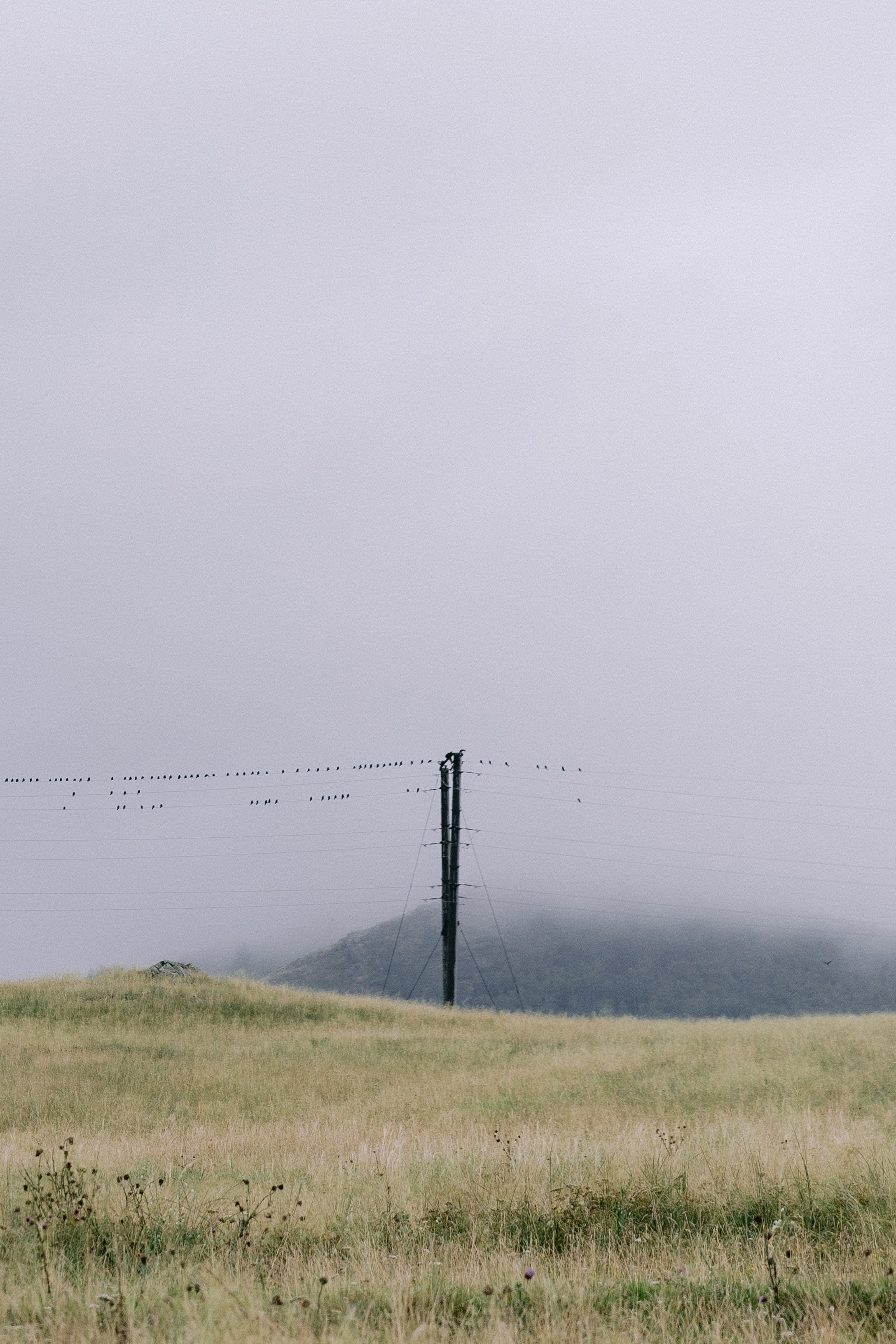 Бесконечность. Даша и Алмаз. Свадебный и семейный фотограф в Магнитогорске Катя Буряк