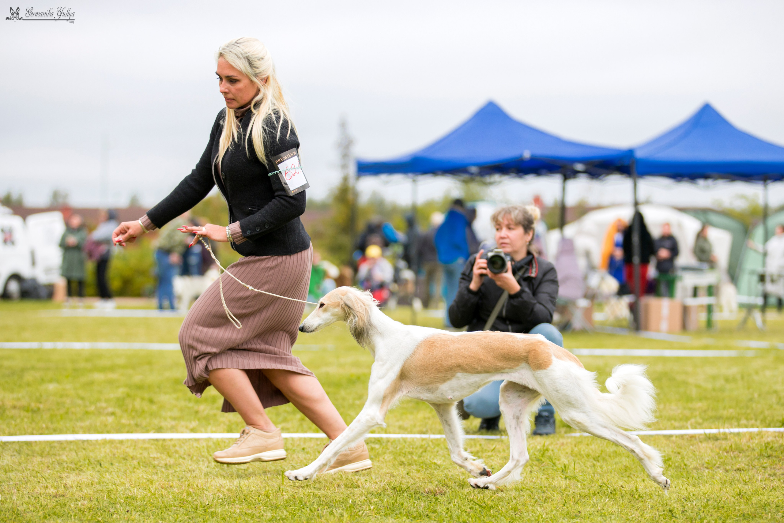 Переславль 9-10.09.2023. Фотограф-анималист Юлия Германика