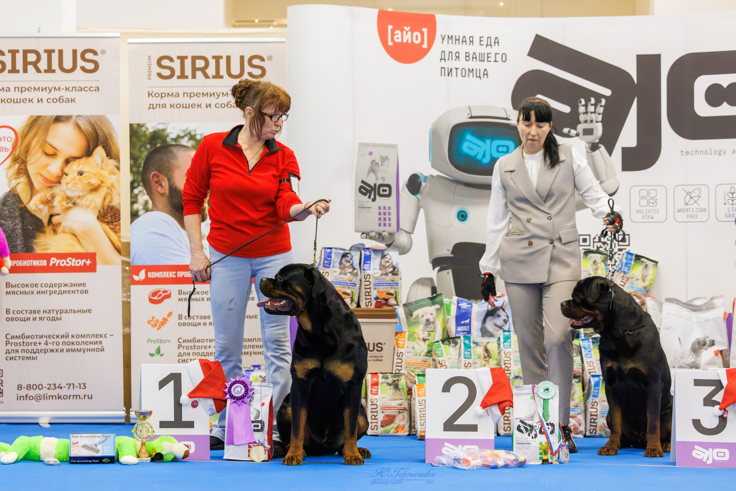 Питер ротвейлеры 18.01,Крокус 19.01.2025. Фотограф-анималист Юлия Германика