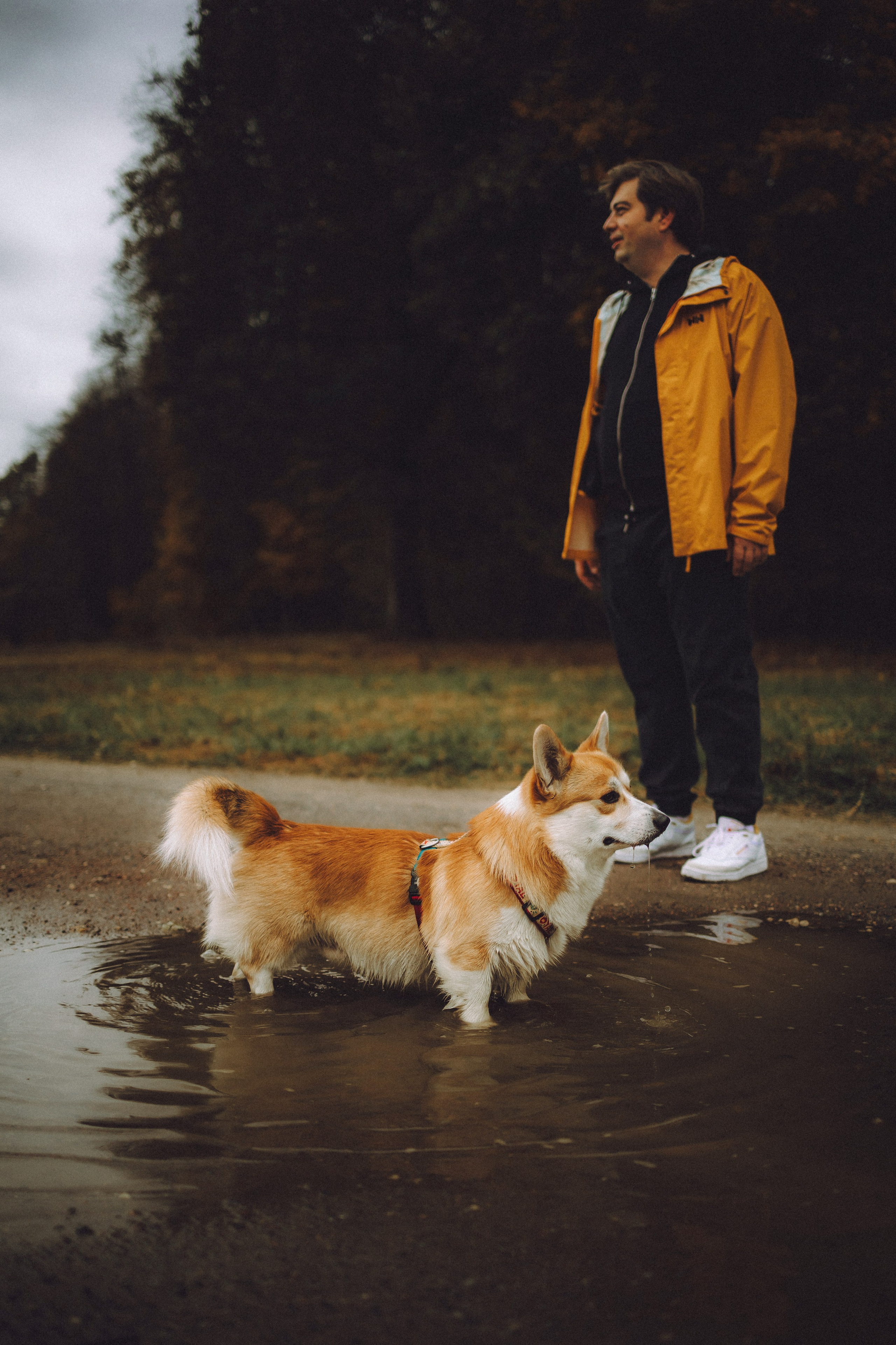 Вирджик и его семья