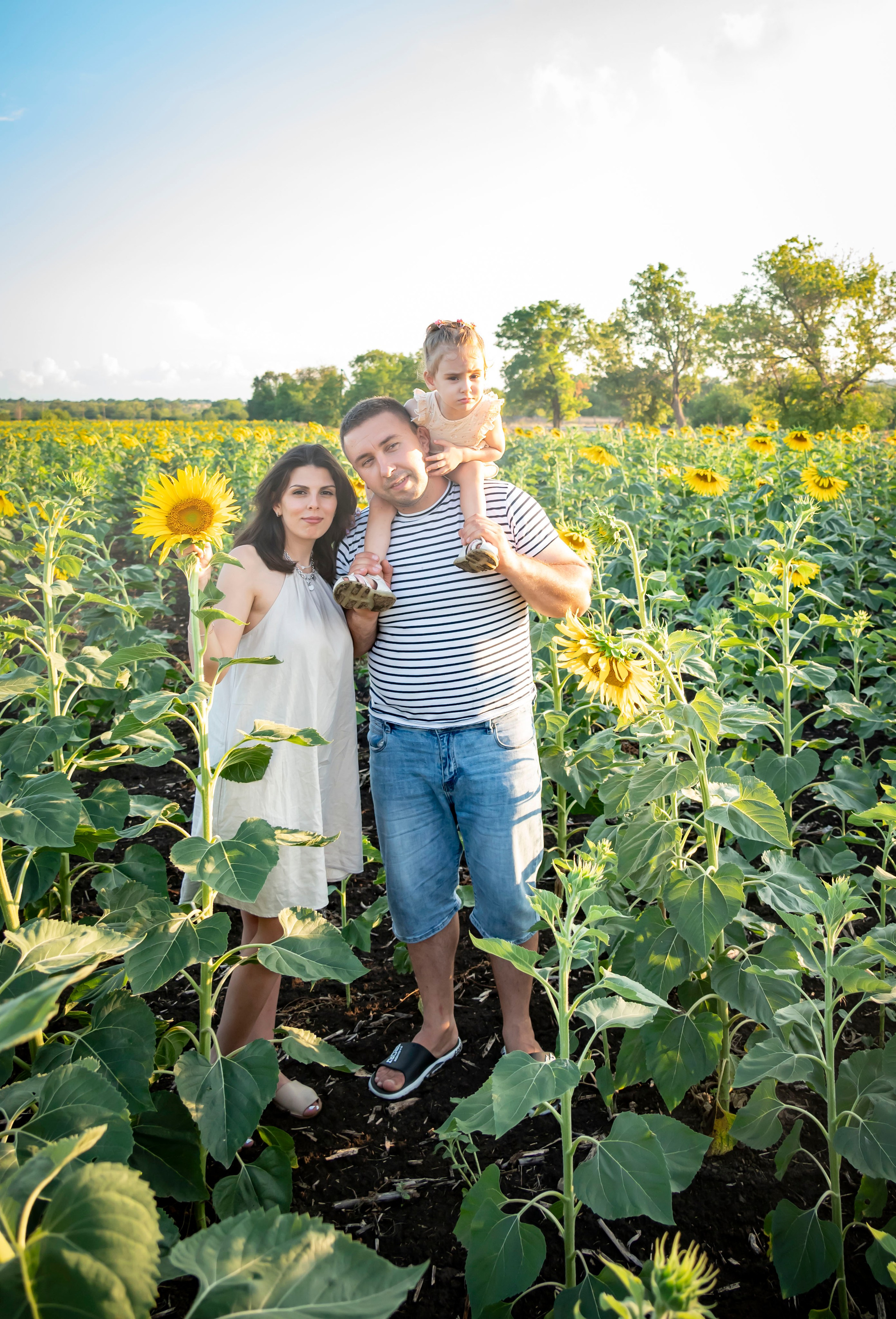 Летняя прогулка. Главная