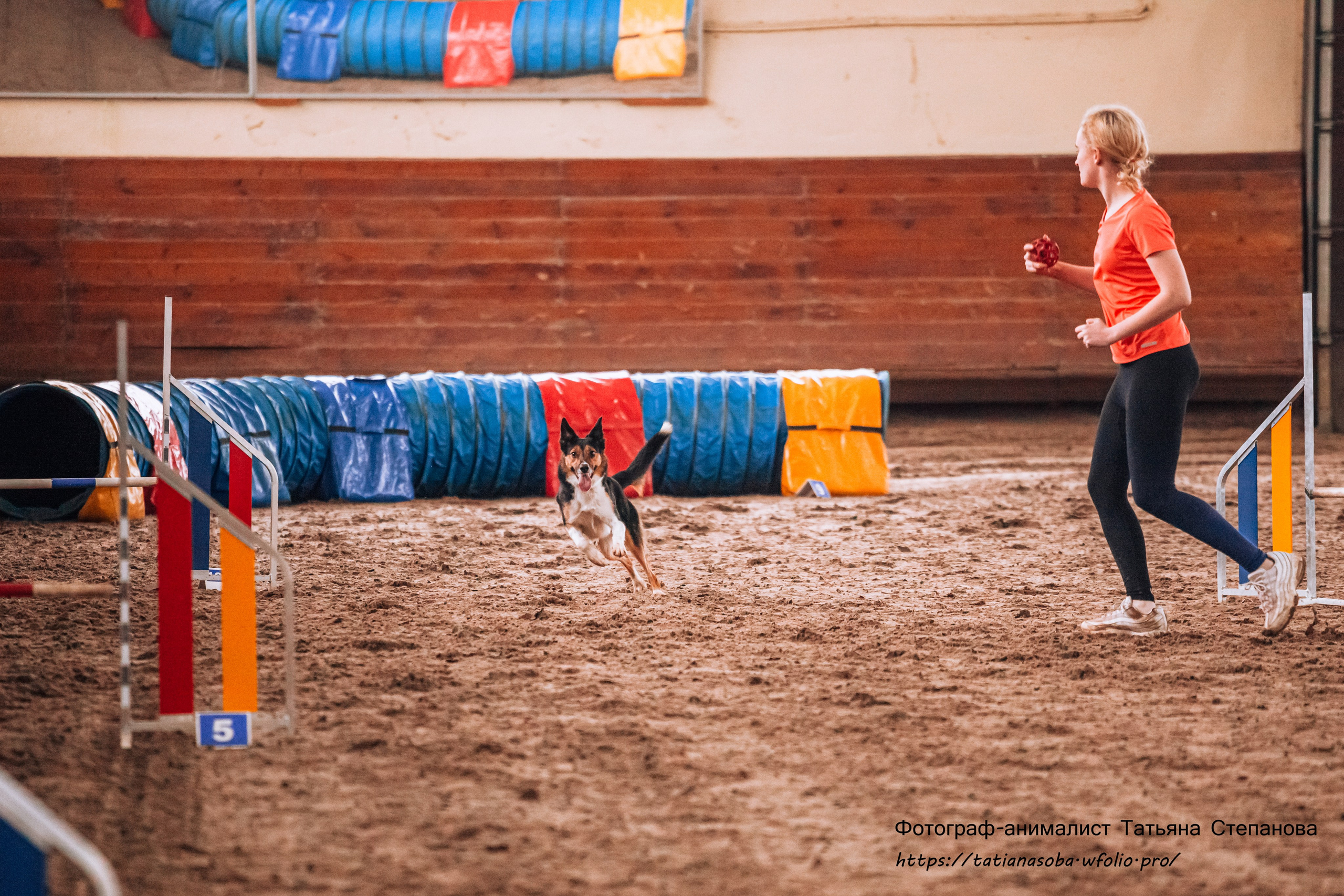 Соревнования по Аджилити 25.02.2024. Фотограф-анималист Татьяна Степанова