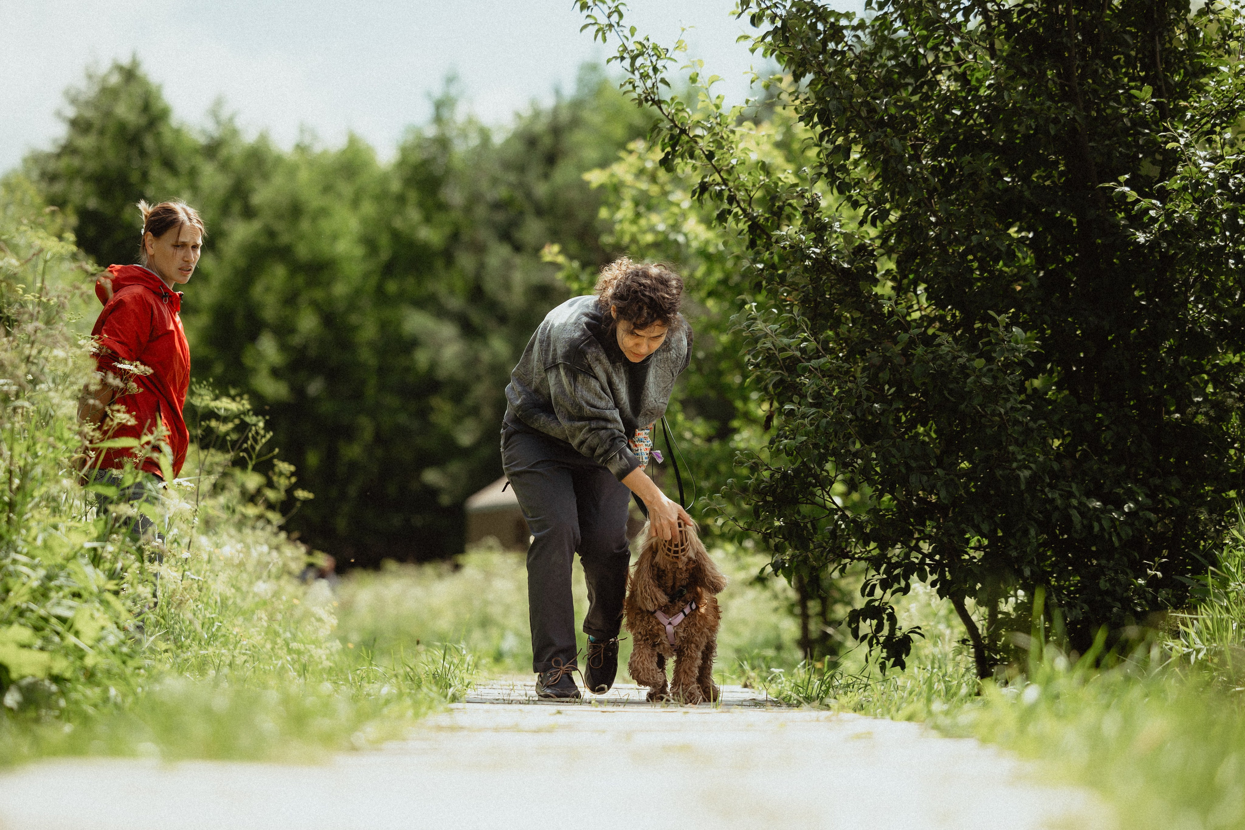 Выездной дог-тренинг от школы «Шерсть имею»