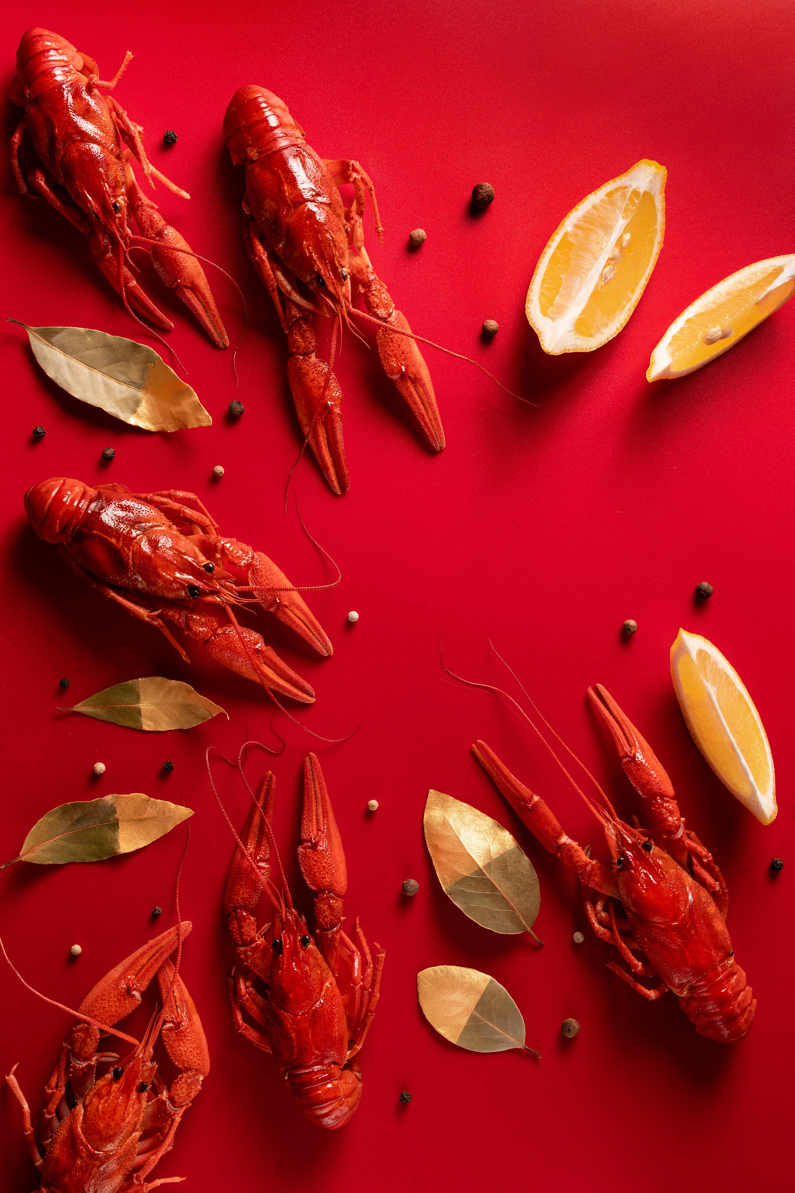 Раки. Юлия Космо — фуд-фотограф, предметный стилист, Москва