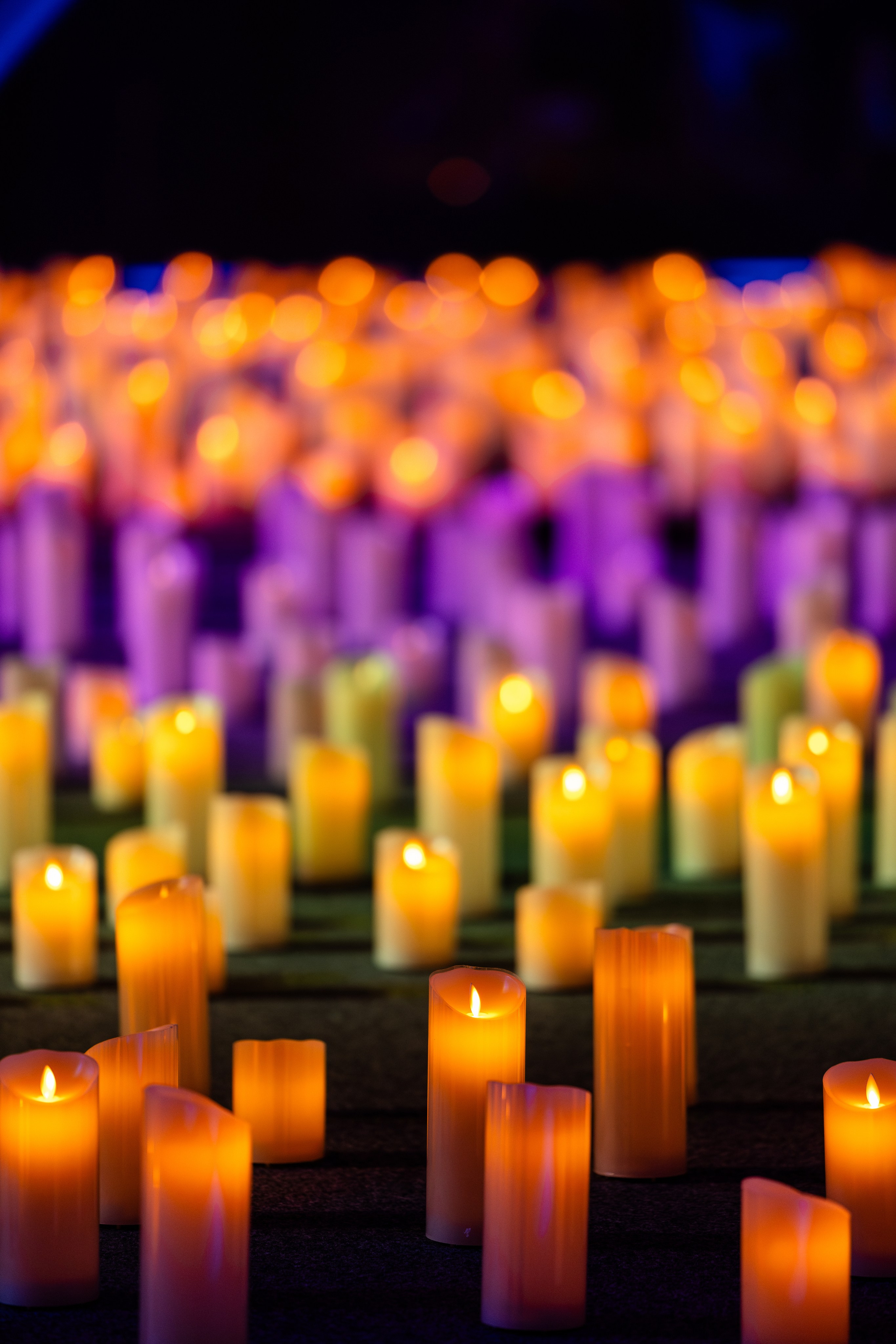 Luminary Баскет-Холл. Руслан Плахтеев