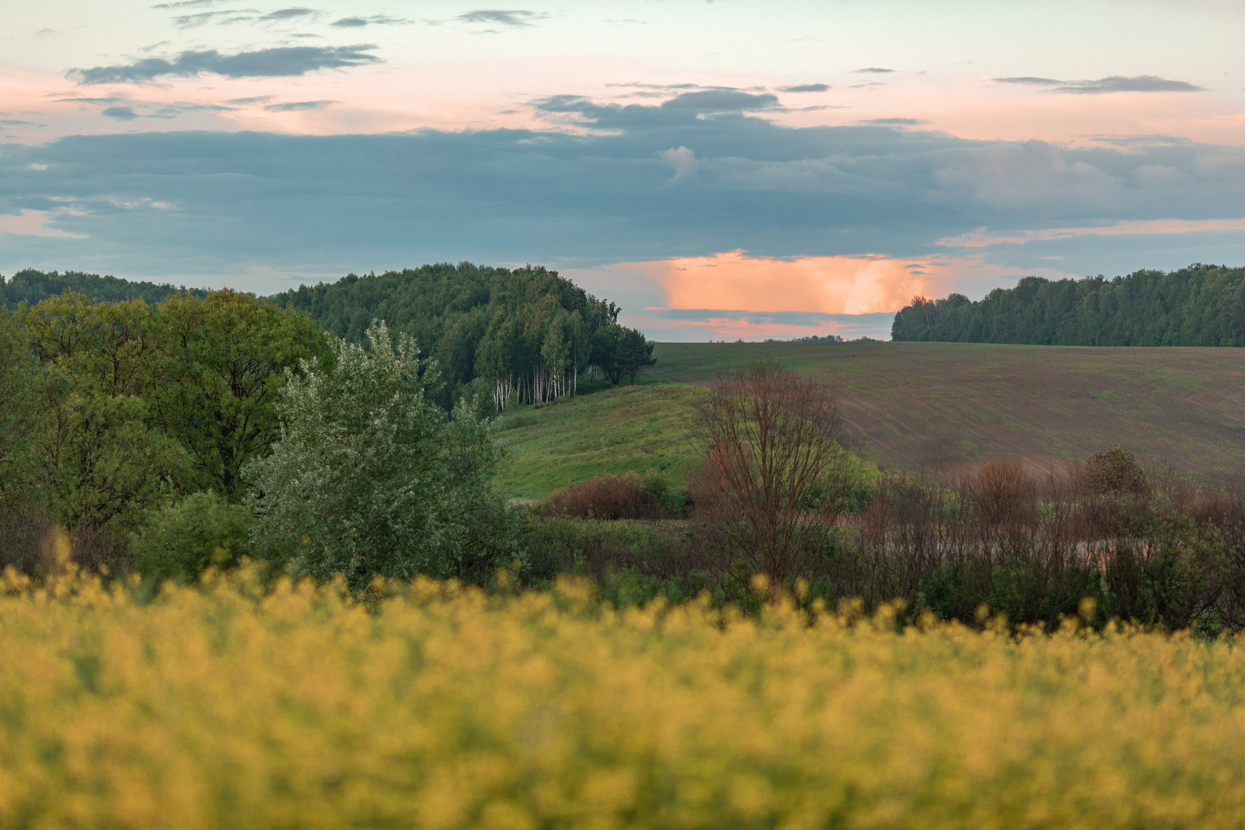 Госома (30 км). Семейный и детский фотограф |Брянск| Анастасия Перепелкина