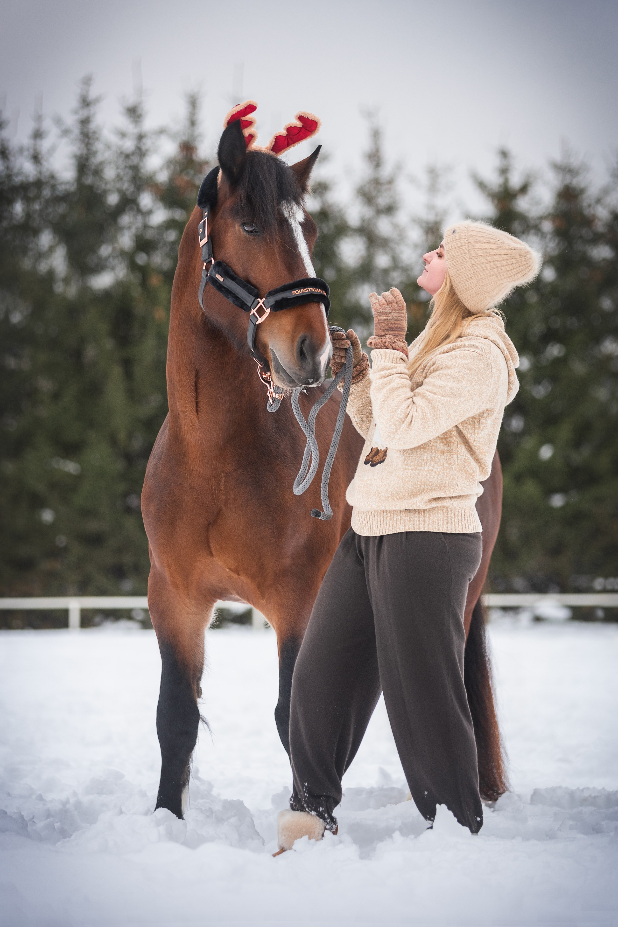 Новогодний Волконский. Конный фотограф Куракина Дарья • Фотосессии с лошадьми