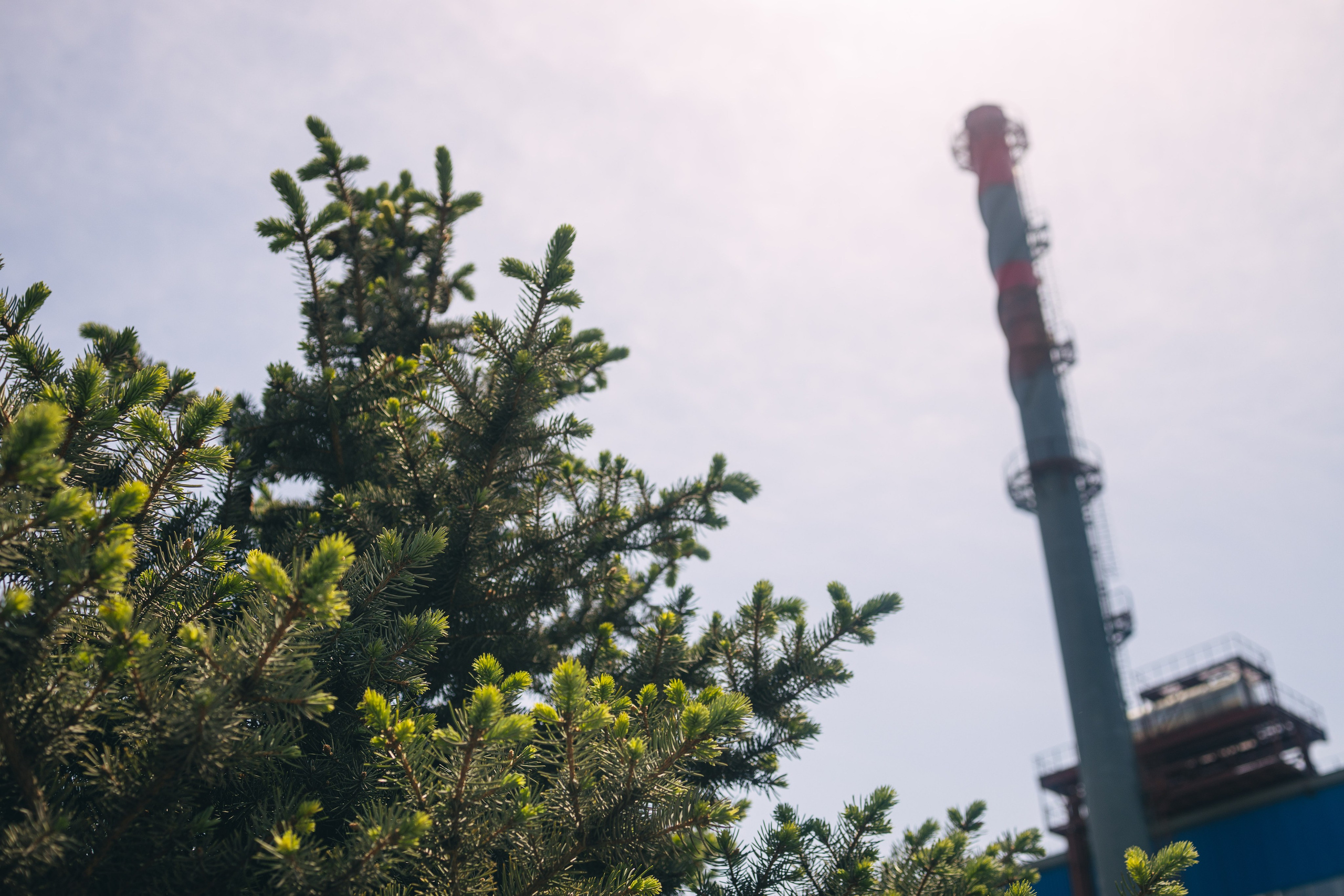 16.05.20 АЭМЗ VIBES. Руслан Плахтеев