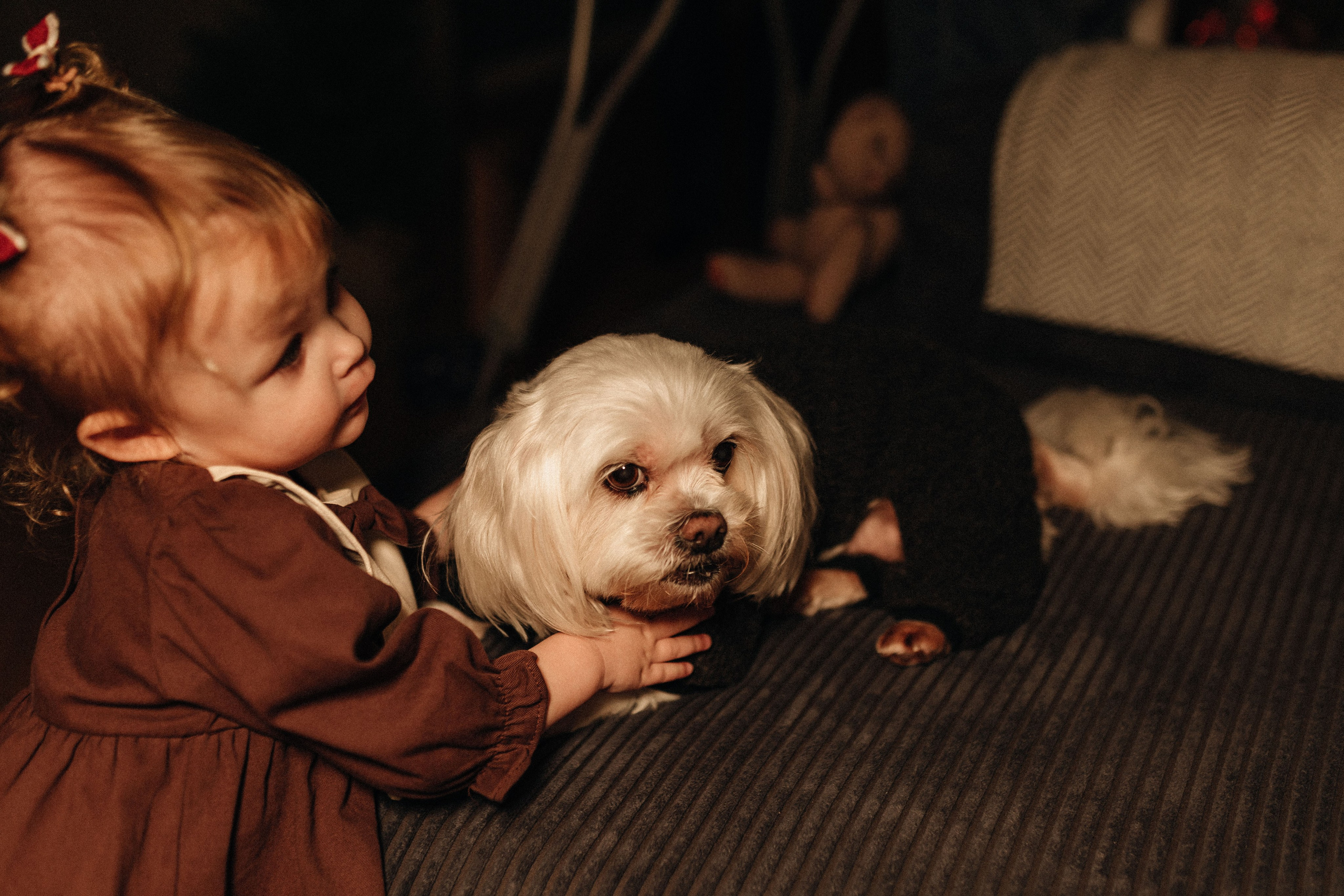 Family time. Фотограф Трифон Мира
