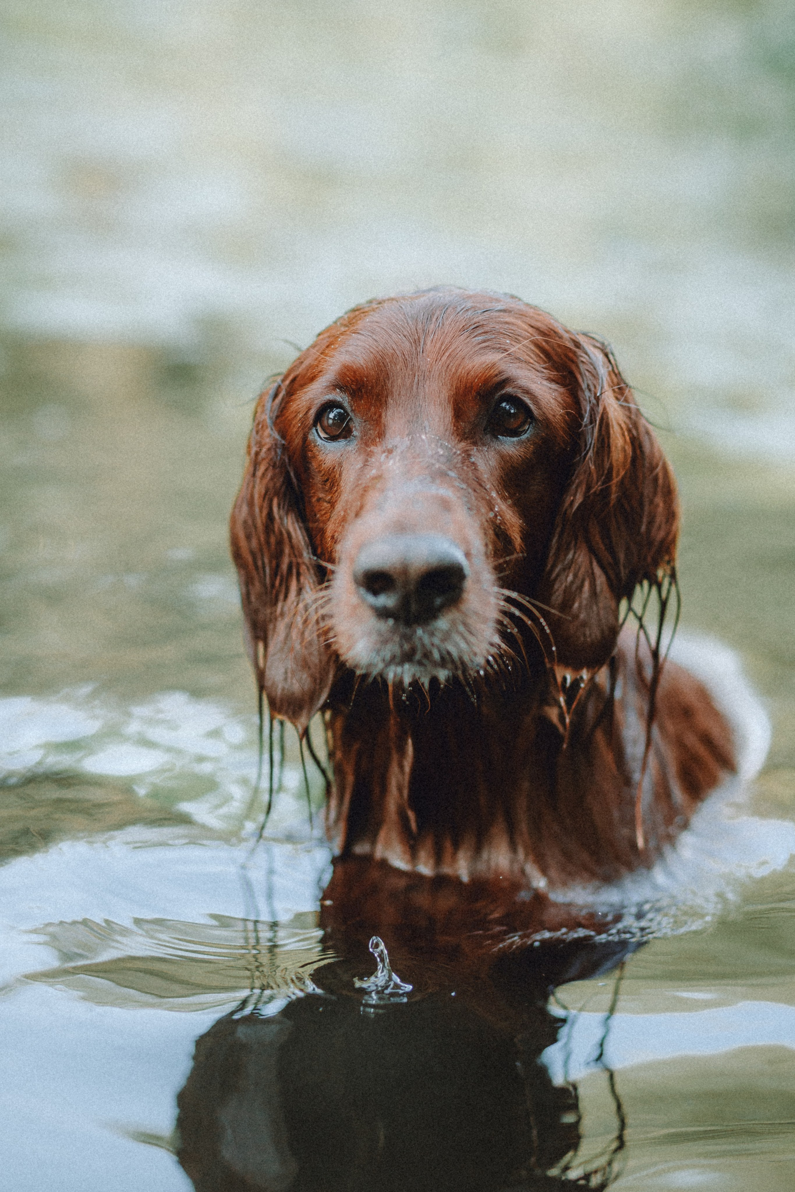 Маша и Джерри