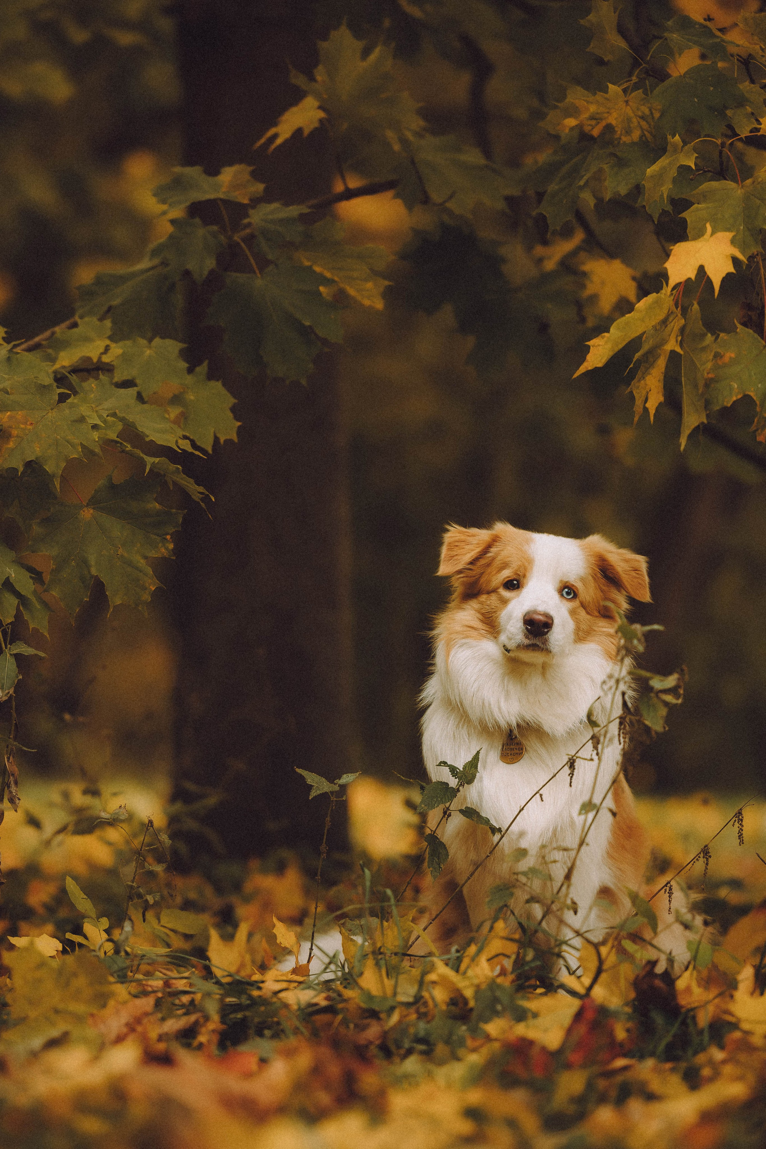 Алина, Витя и Асти