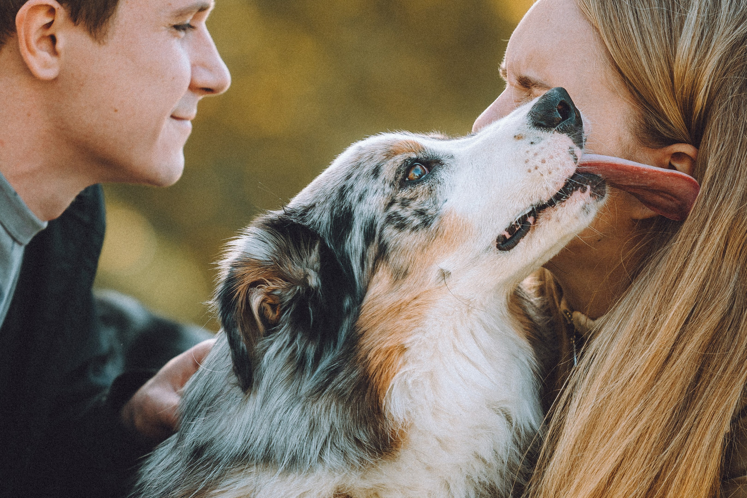 Саша, Рома и Один