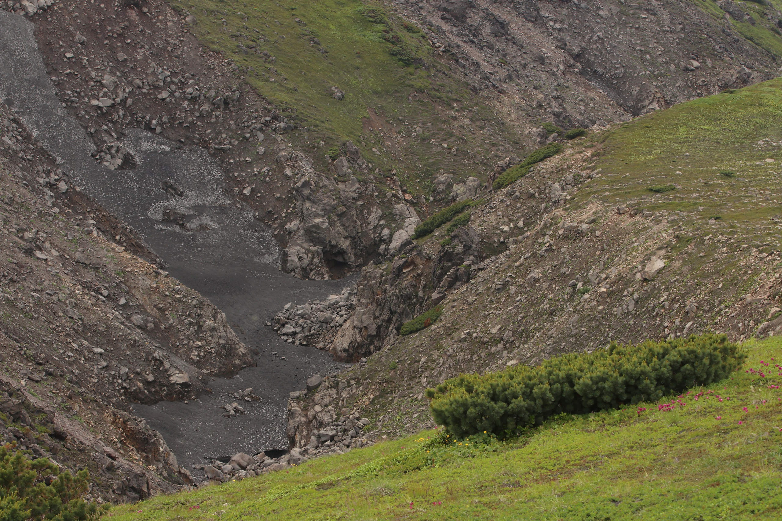 Камчатка и о. Парамушир. Июль 2024. Путешественник-фотограф из Санкт-Петербурга Татьяна Свистулина