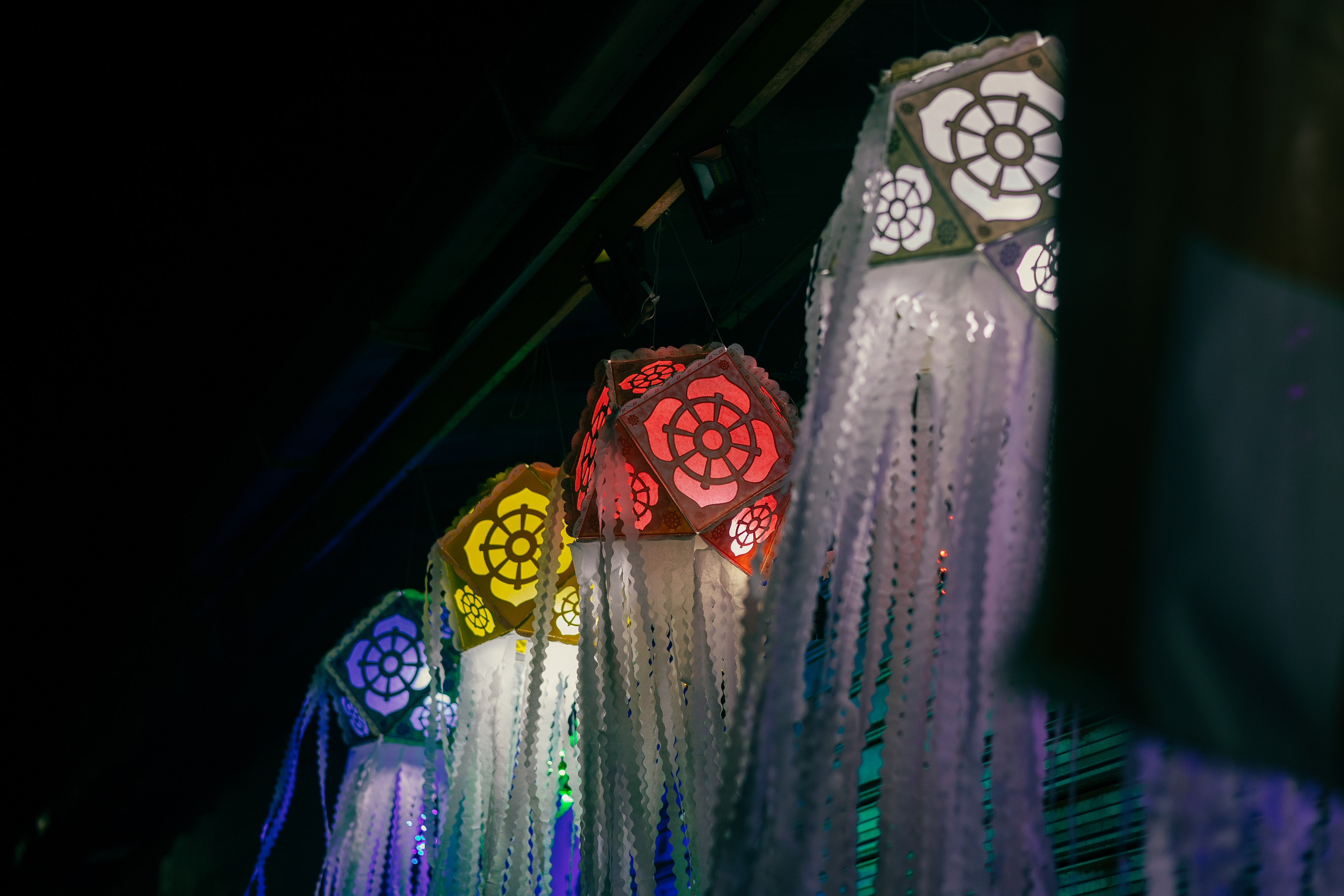 Vesak Poya 2023. Photographer Sonkina Tatiana (Tanya Ash)