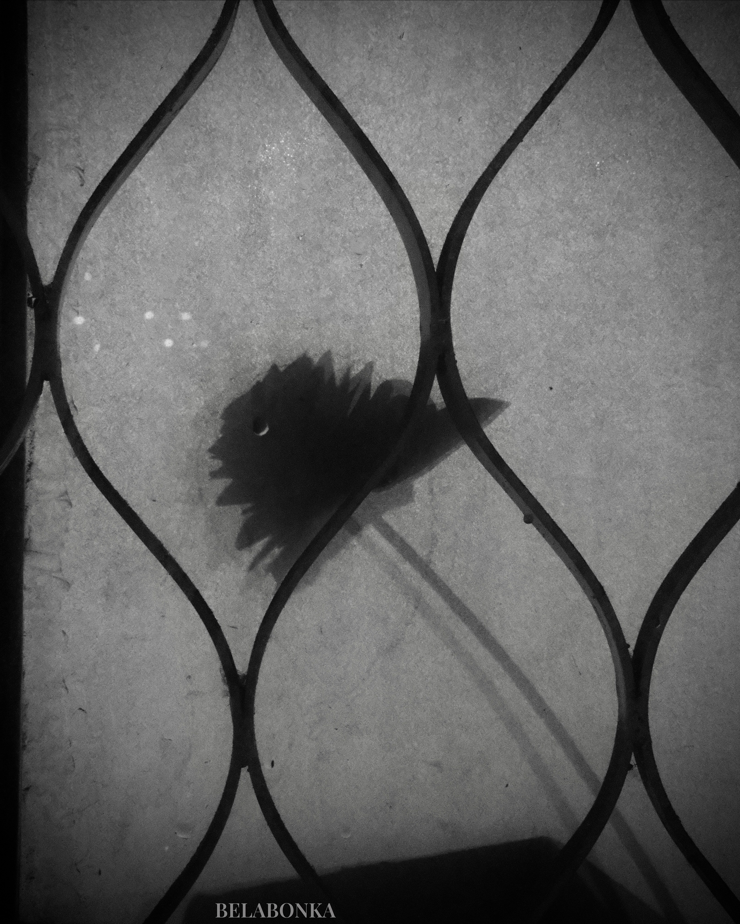 Всякое. Фотограф Маргана Лоция