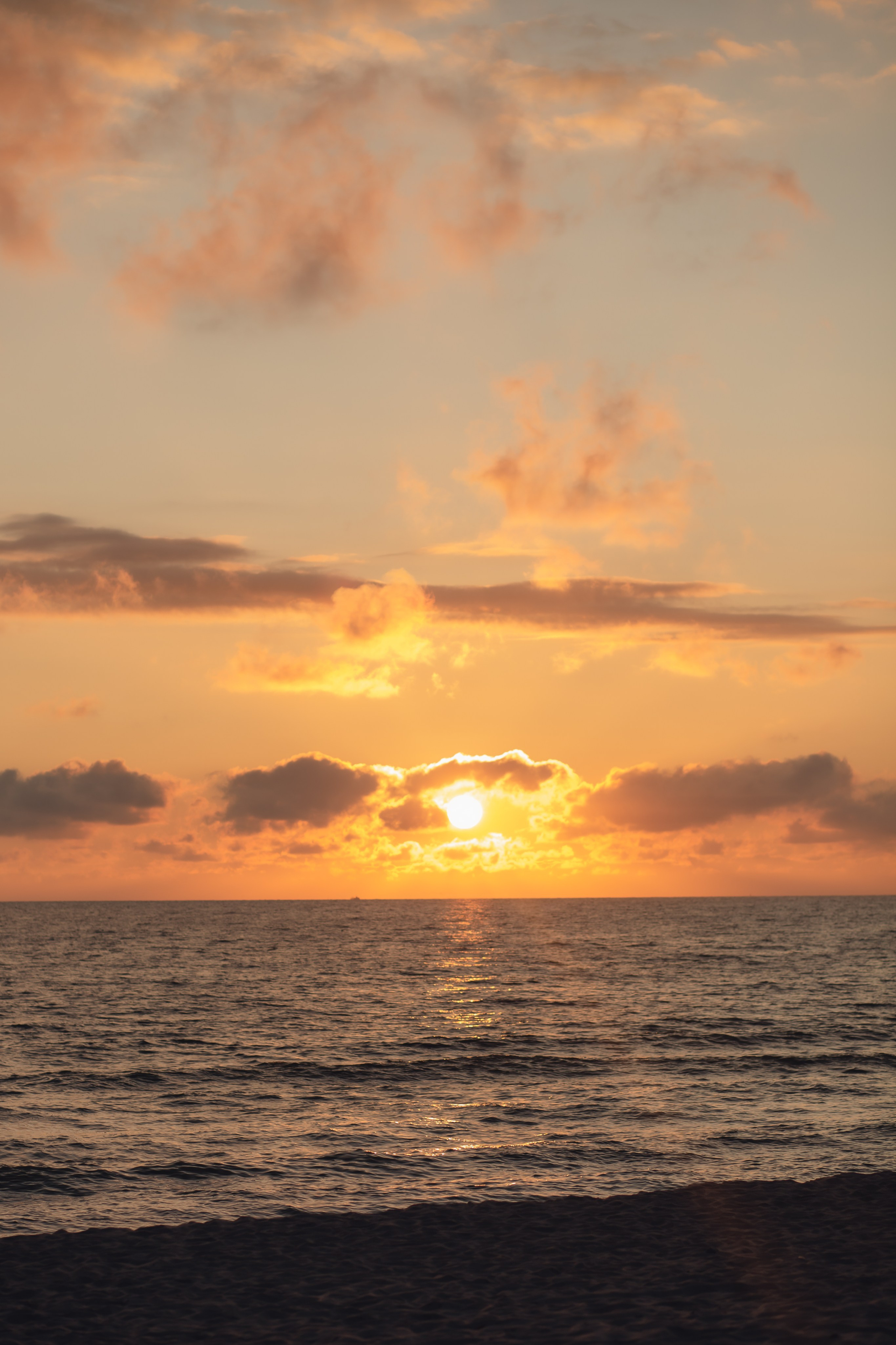 Елена и Никита. Фотограф в Калининграде Решетникова Алина