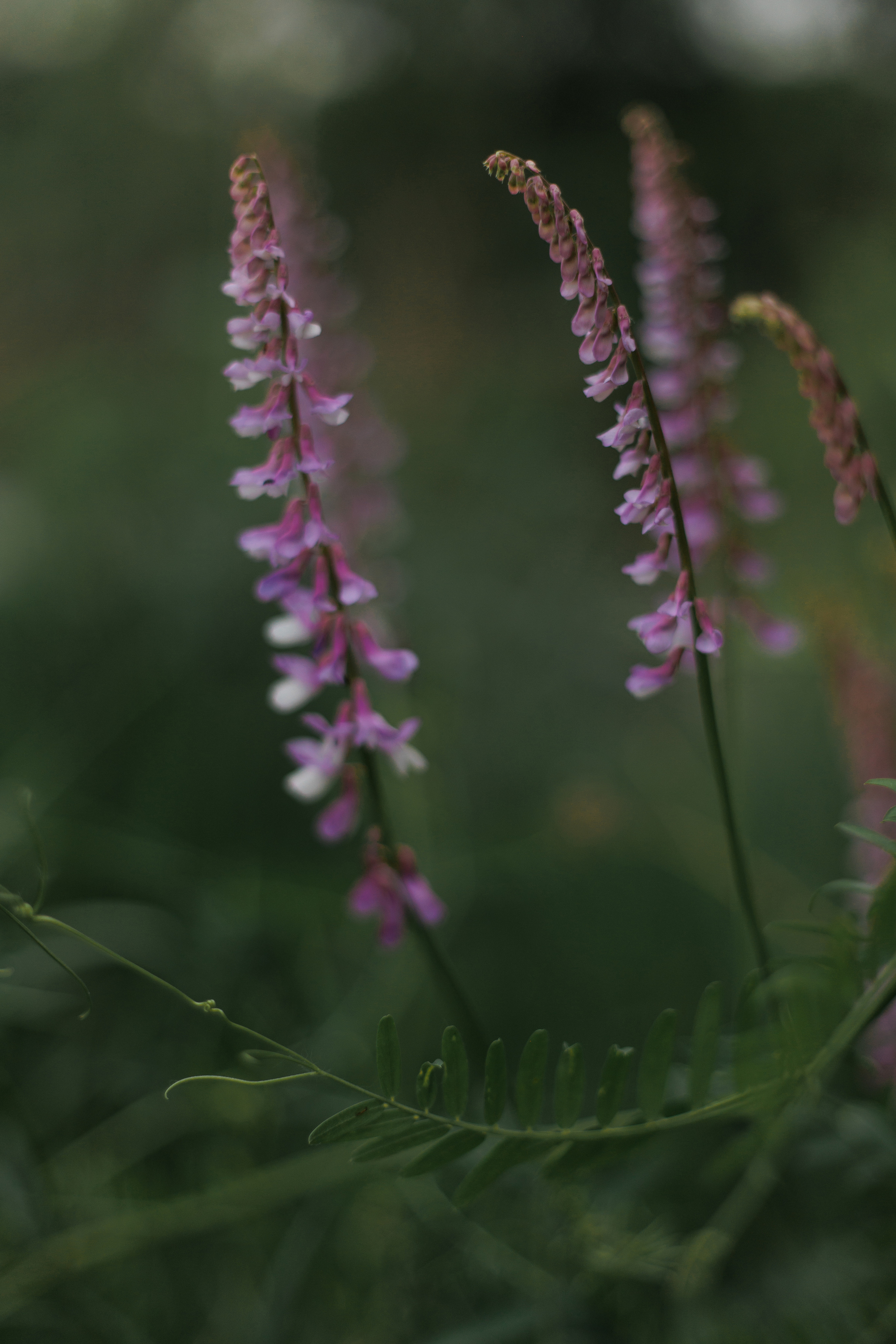 Даша и Саша. Фотограф Катя Дубовик