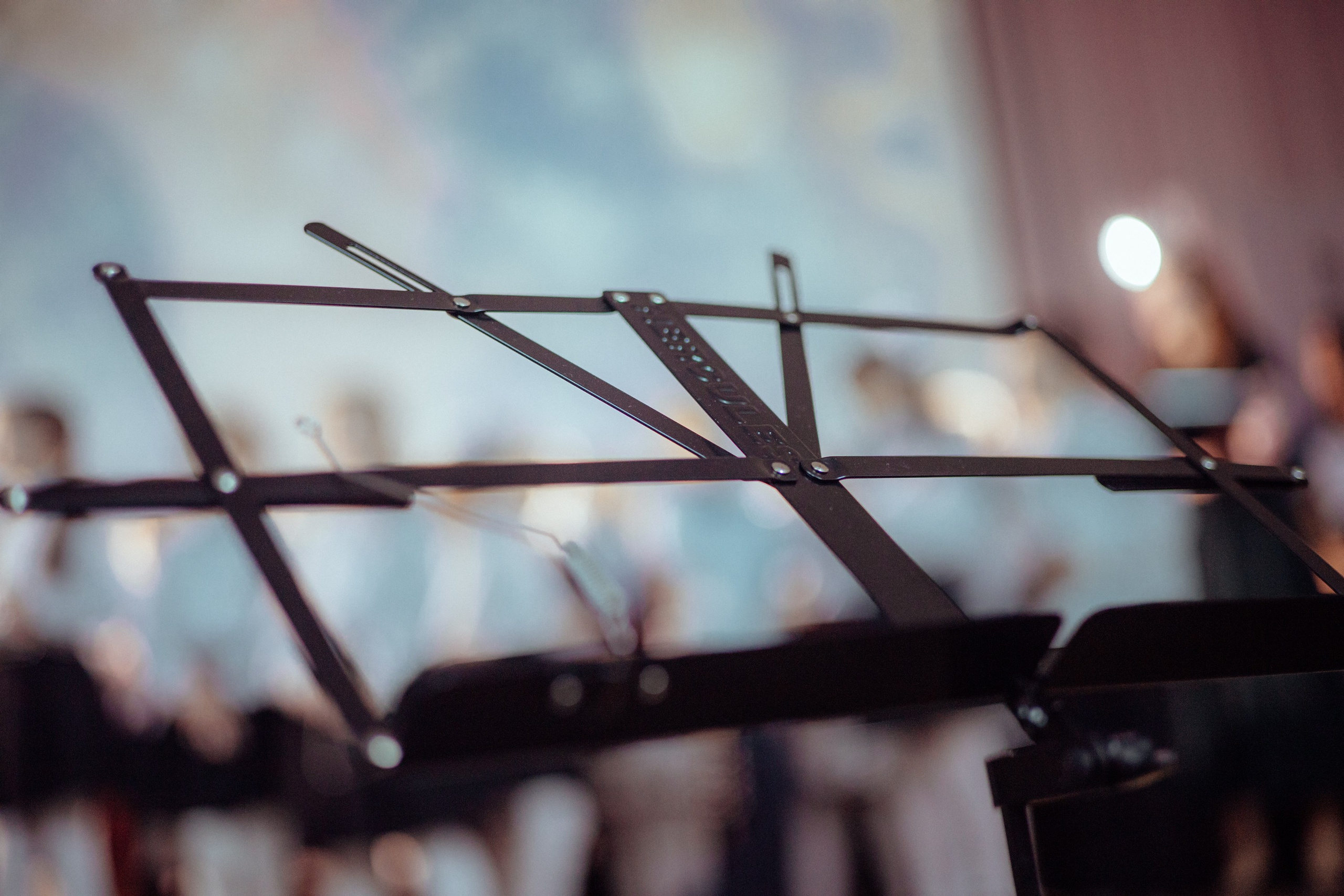 Концерт хорового пения | дши14