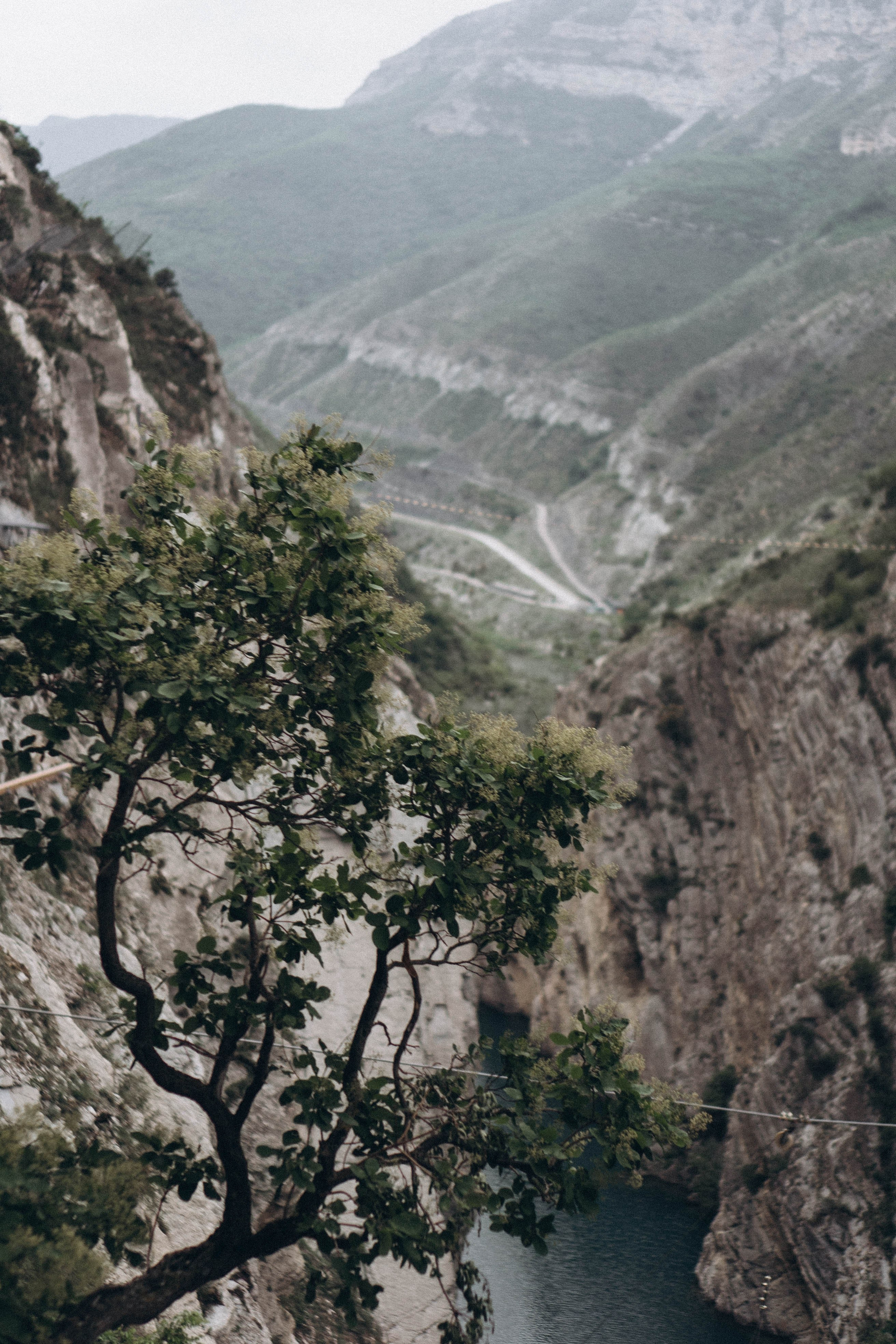 Кавказ. Профессиональный фотограф, Санкт-Петербург — Виктория Богомолова