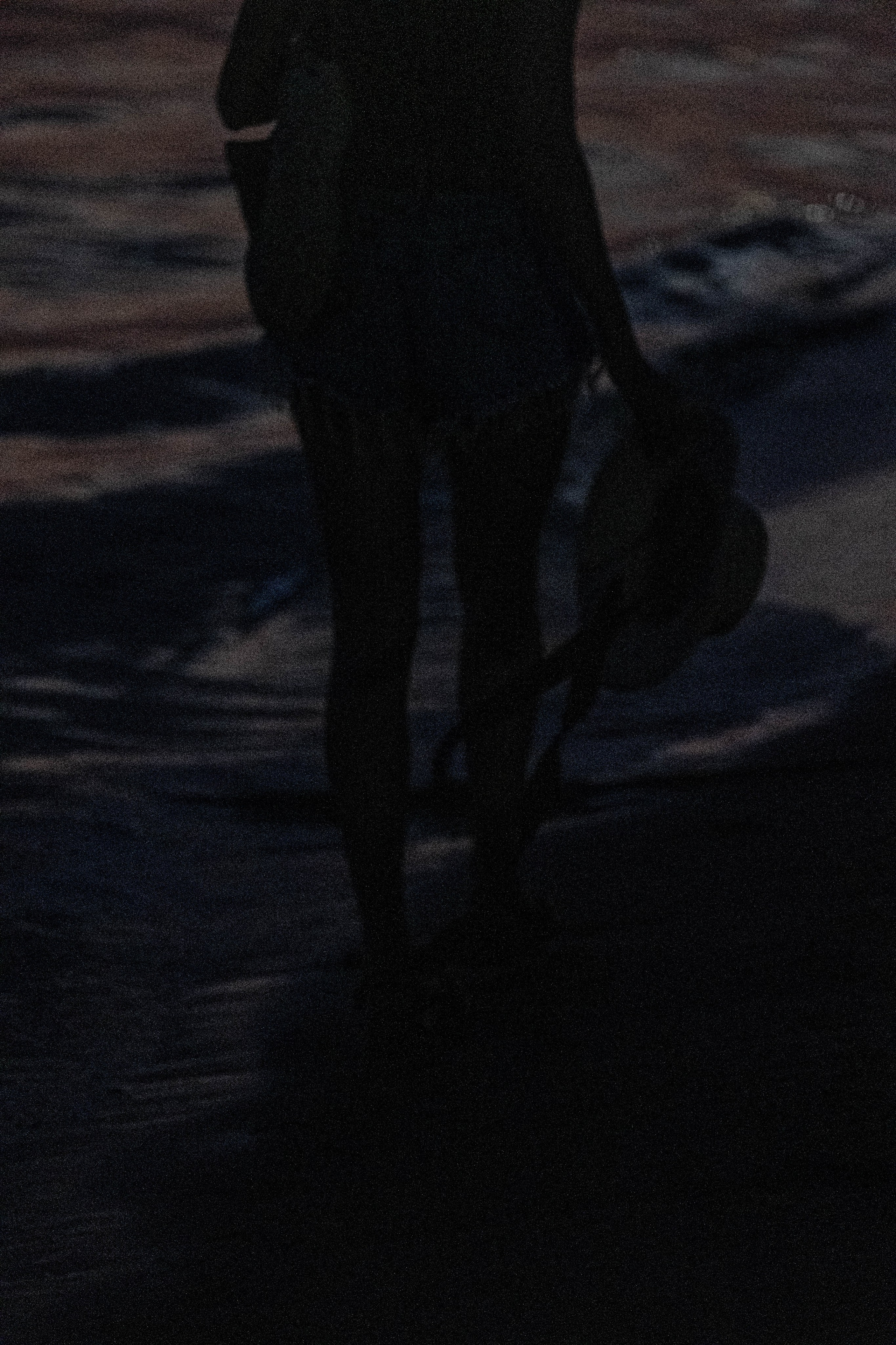 Закат на черном море. Профессиональный фотограф, Санкт-Петербург — Виктория Богомолова